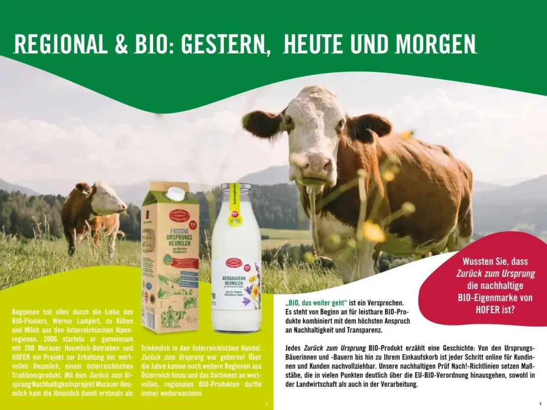 Hofer Prospekt, Seite 3 von 17