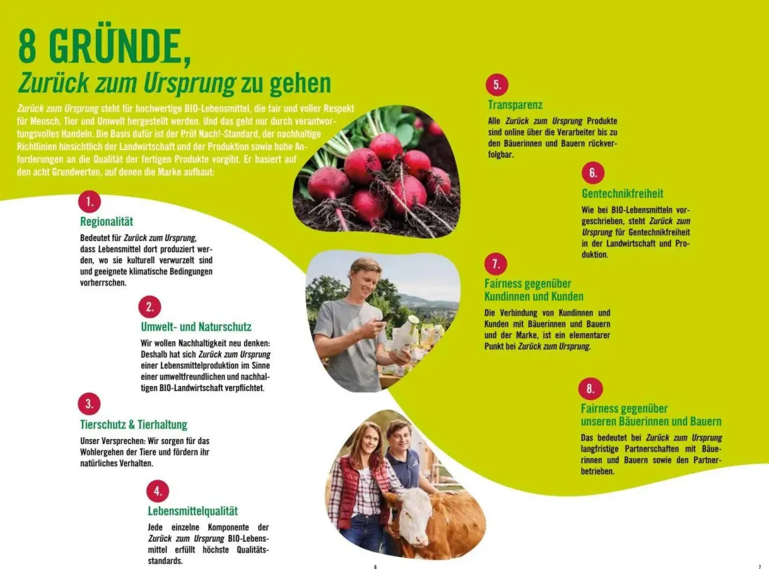 Hofer Prospekt, Seite 4 von 17