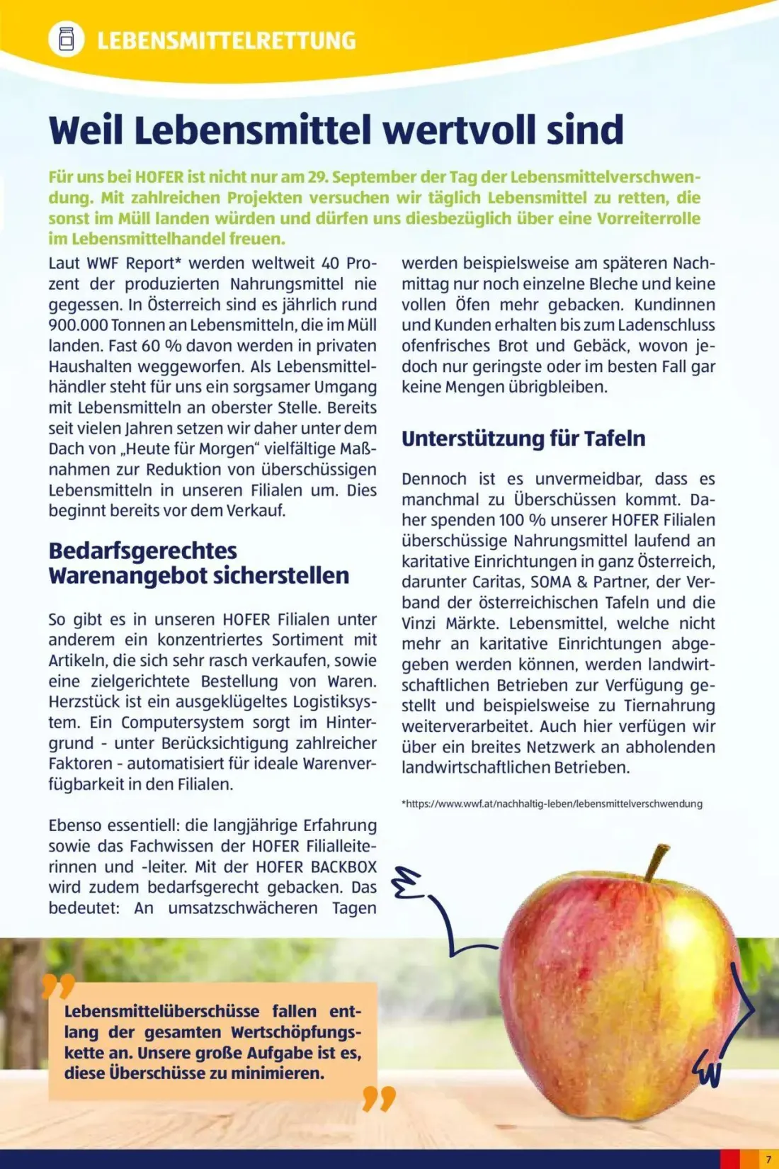 Hofer Prospekt, Seite 7 von 20