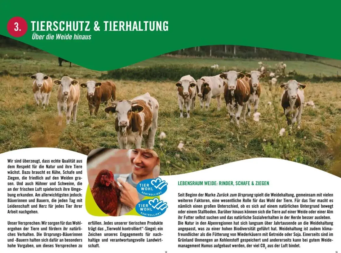 Hofer Prospekt, Seite 7 von 17