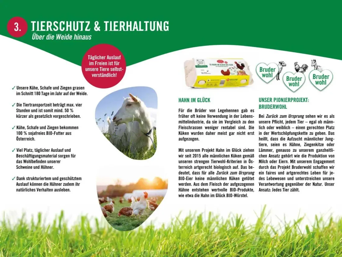 Hofer Prospekt, Seite 8 von 17