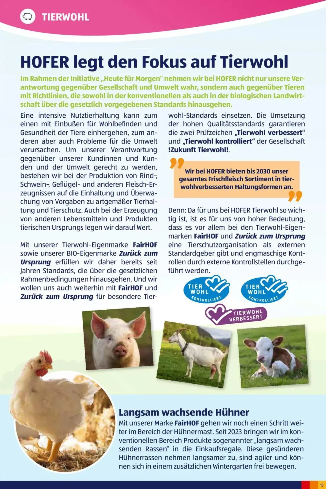 Hofer Prospekt, Seite 13 von 20