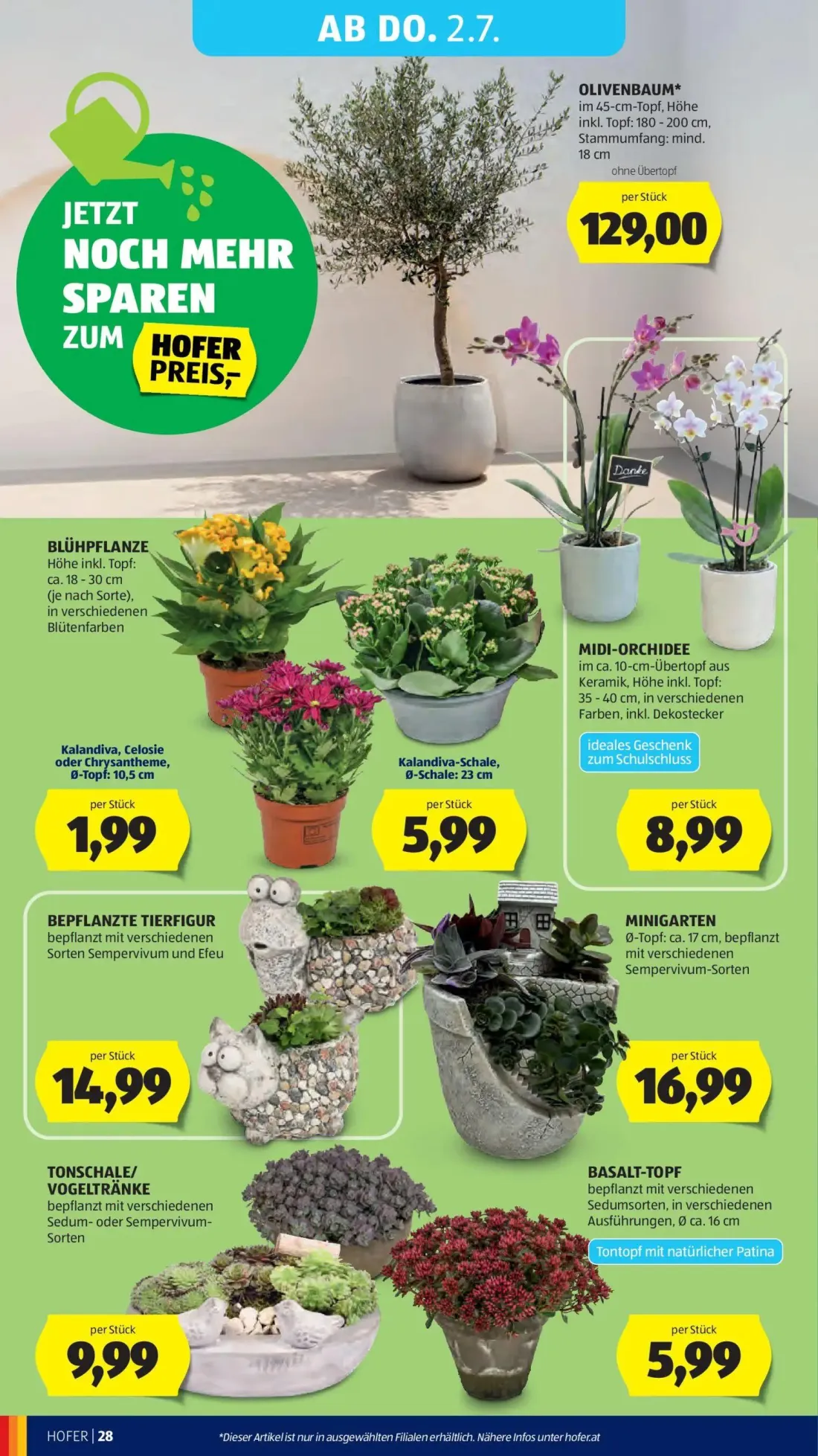 Hofer Prospekt, Seite 33 von 41