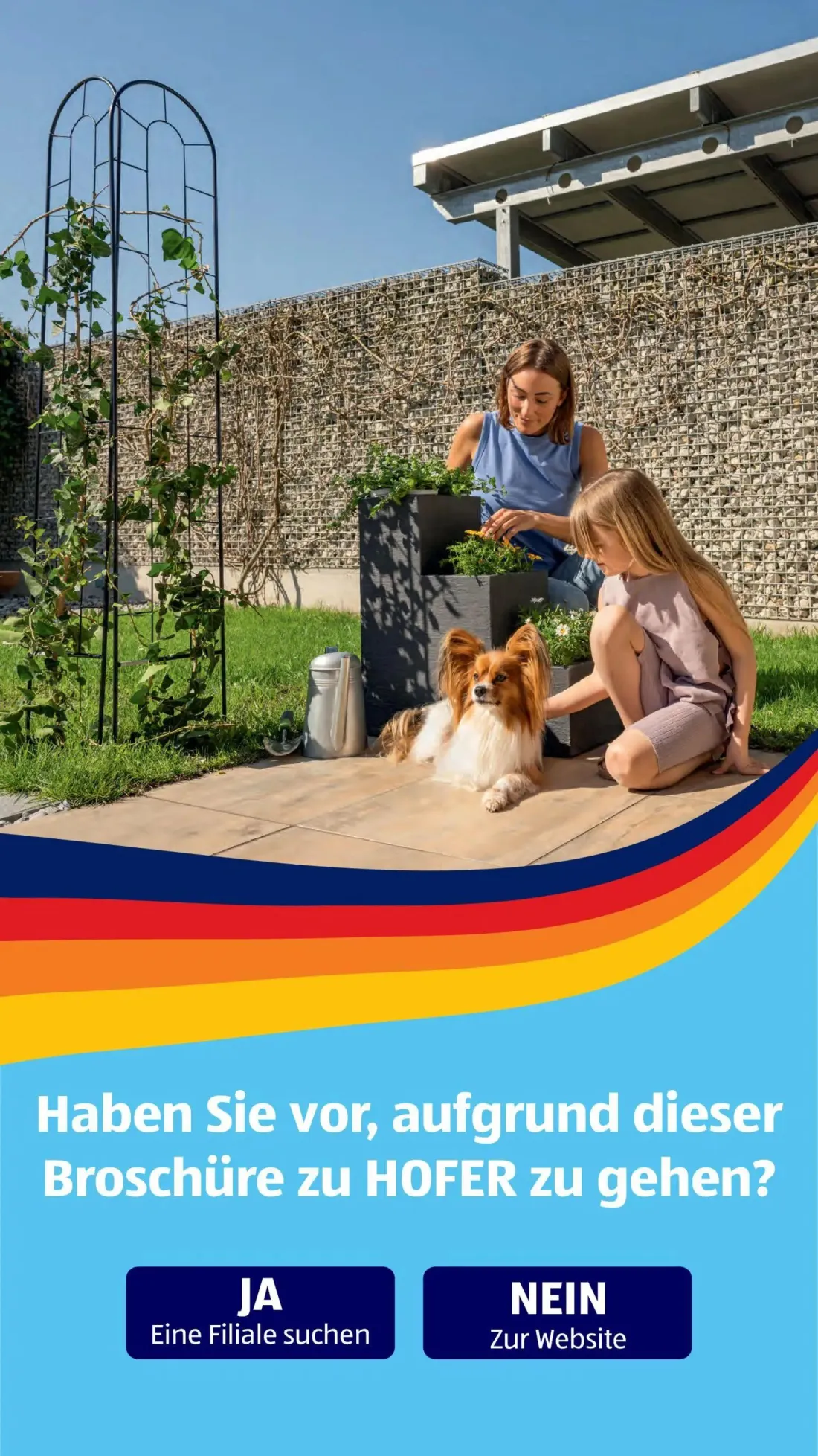Hofer Prospekt, Seite 41 von 41