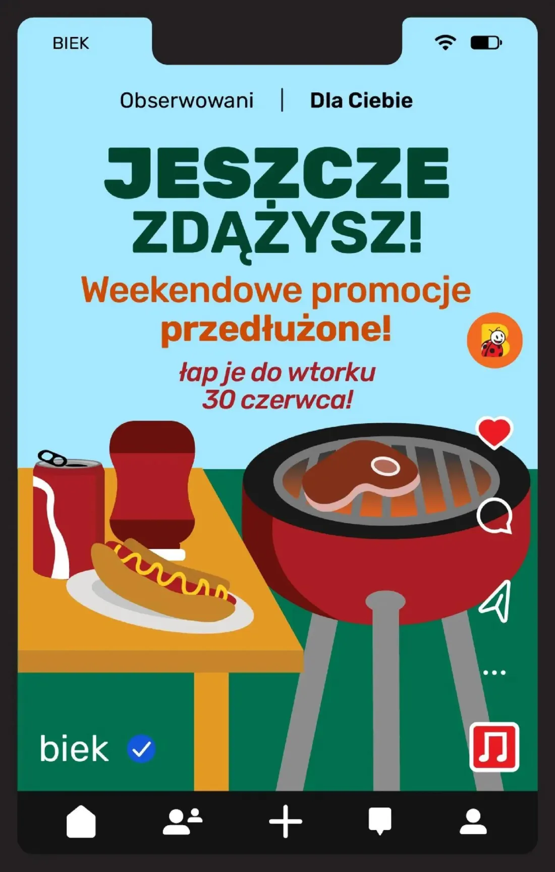 Biedronka gazetka, strona 25 z 31