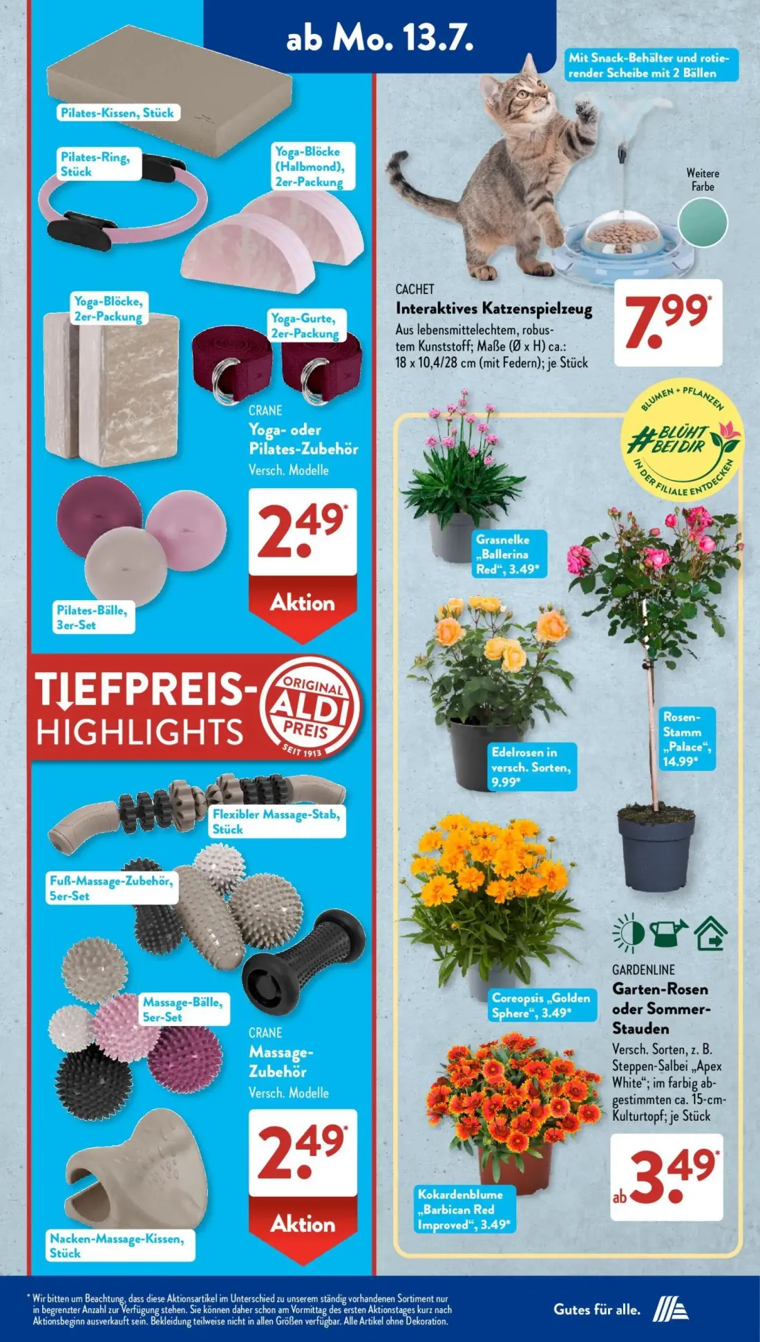 Aldi Süd Prospekt, Seite 4 von 22 — Grasnelke „Ballerina Red”, Edelrosen in versch. Sorten, Rosen-Stamm „Palace”