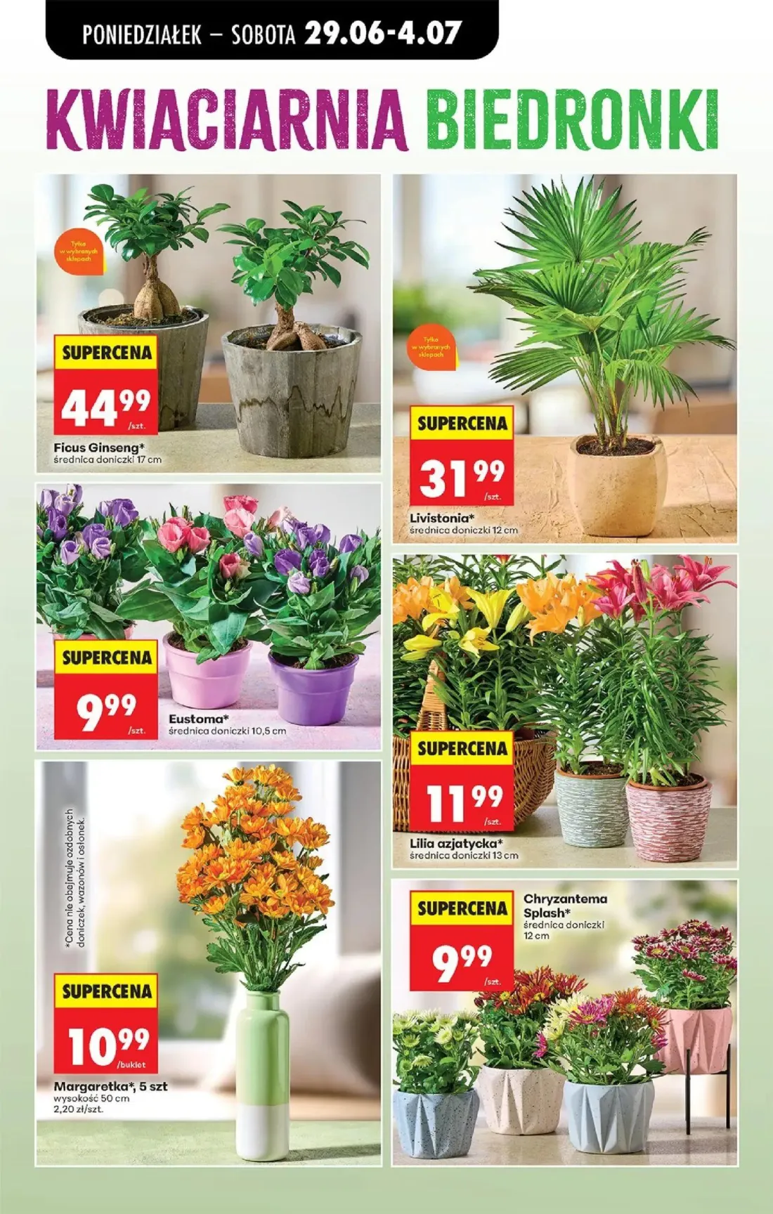 Biedronka gazetka, strona 33 z 84