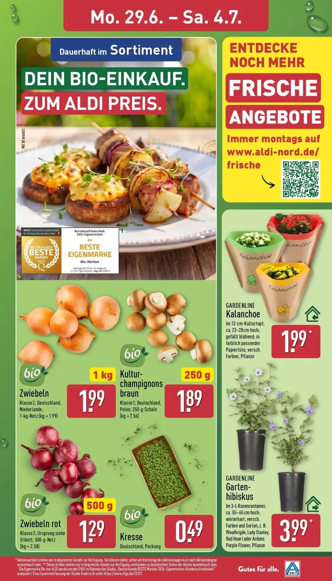 Aldi Nord Prospekt, Seite 3 von 46