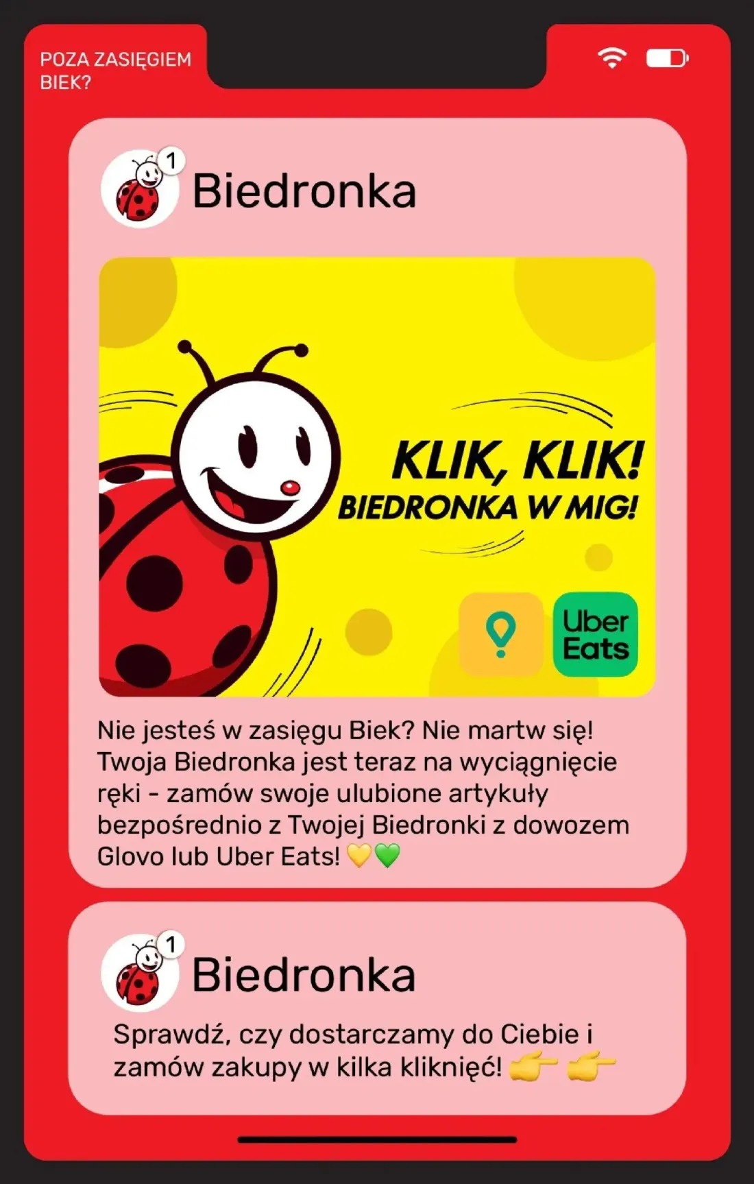 Biedronka gazetka, strona 20 z 22