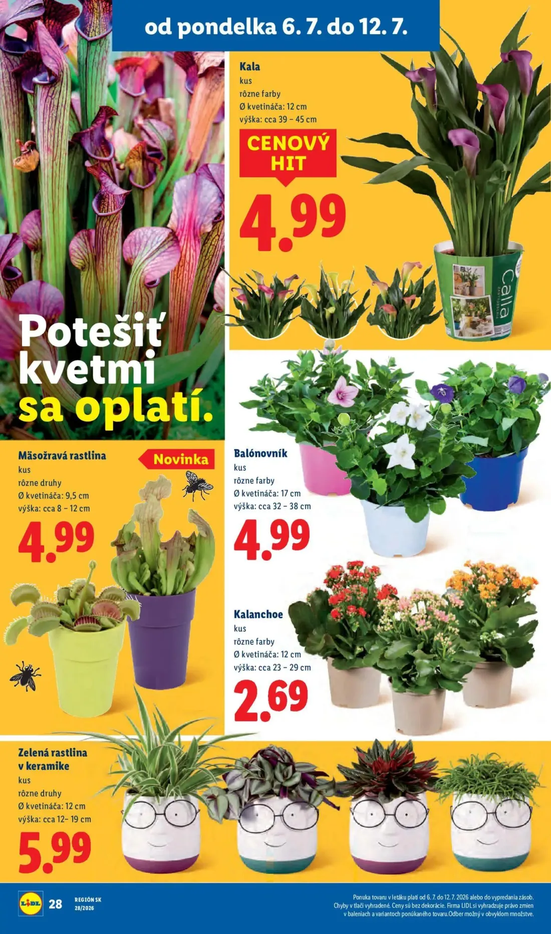 Lidl leták, strana 49 z 109