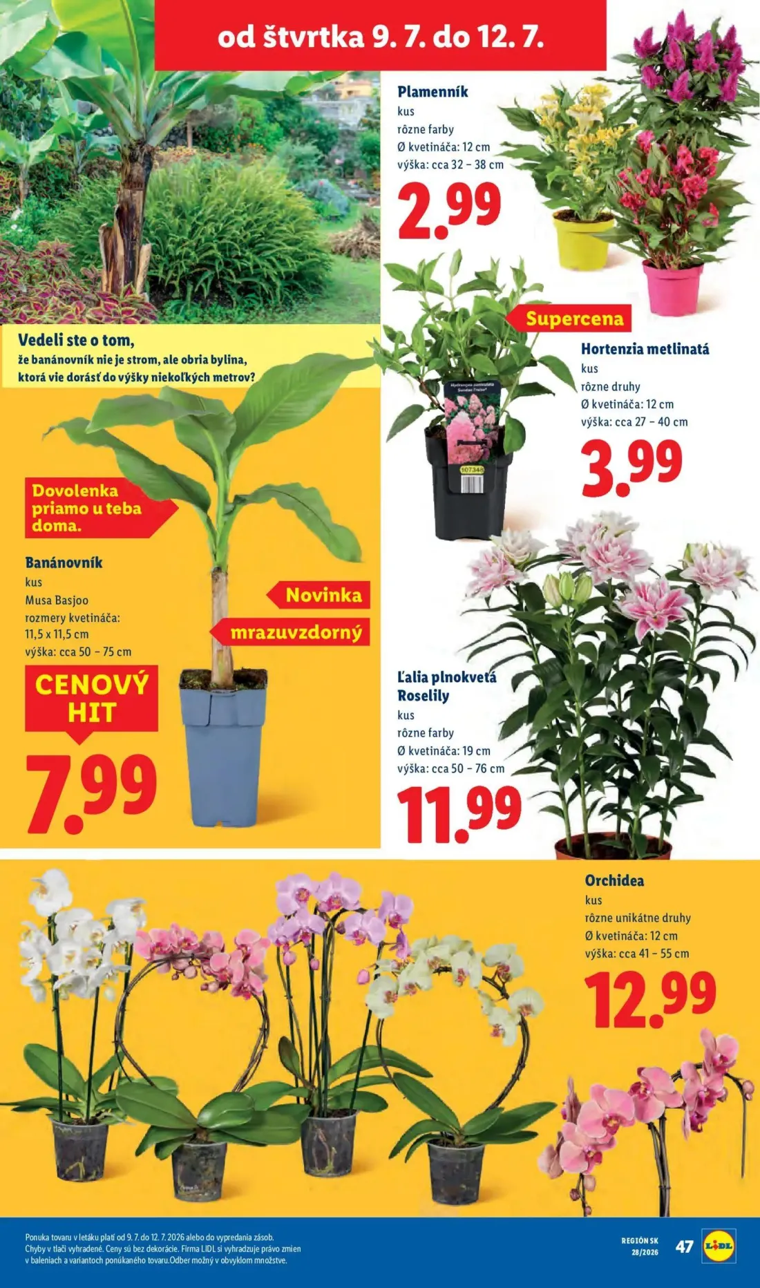 Lidl leták, strana 99 z 109