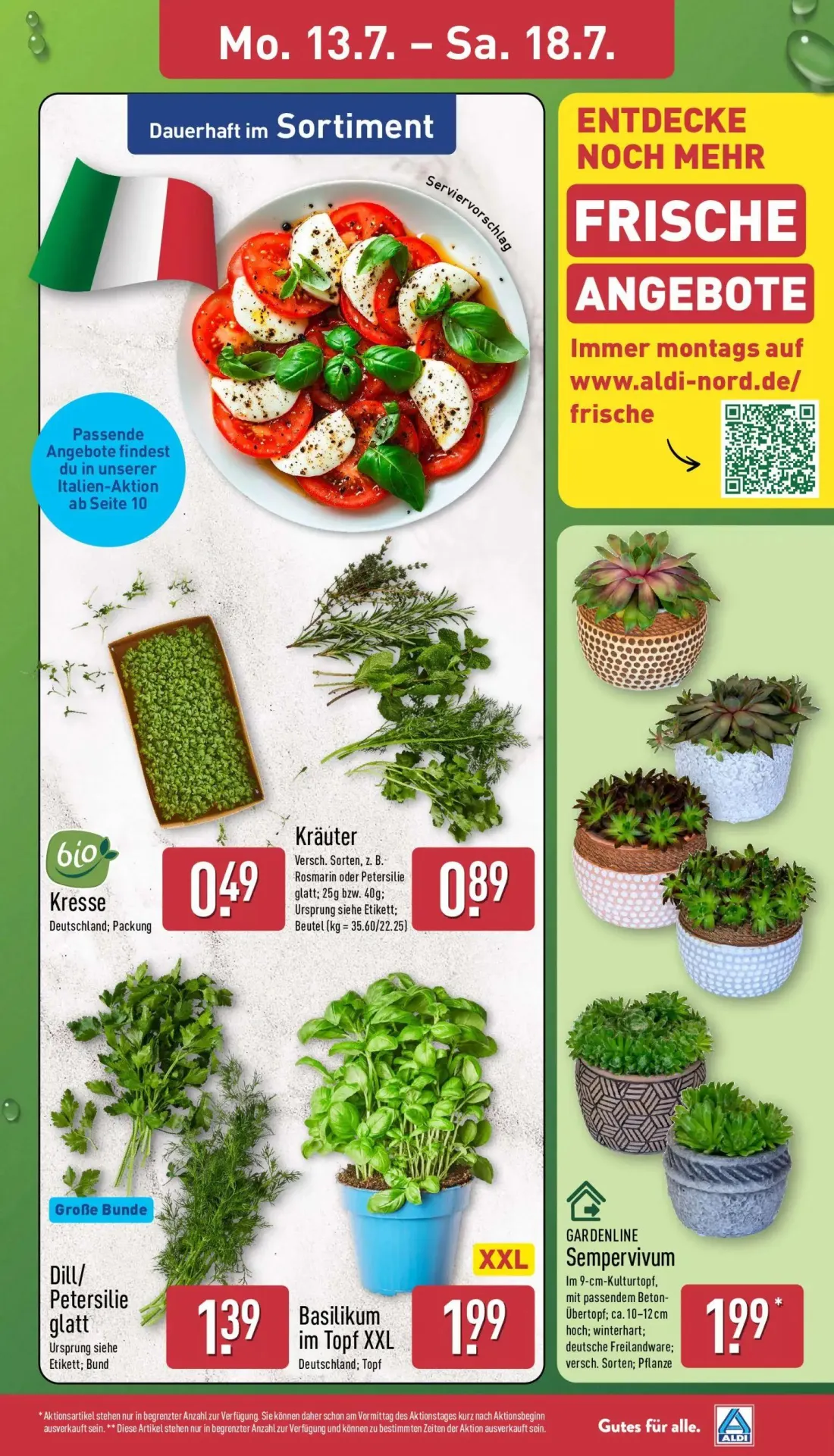 Aldi Nord Prospekt, Seite 3 von 35 — Kresse, Kräuter, Dill/ Petersilie glatt