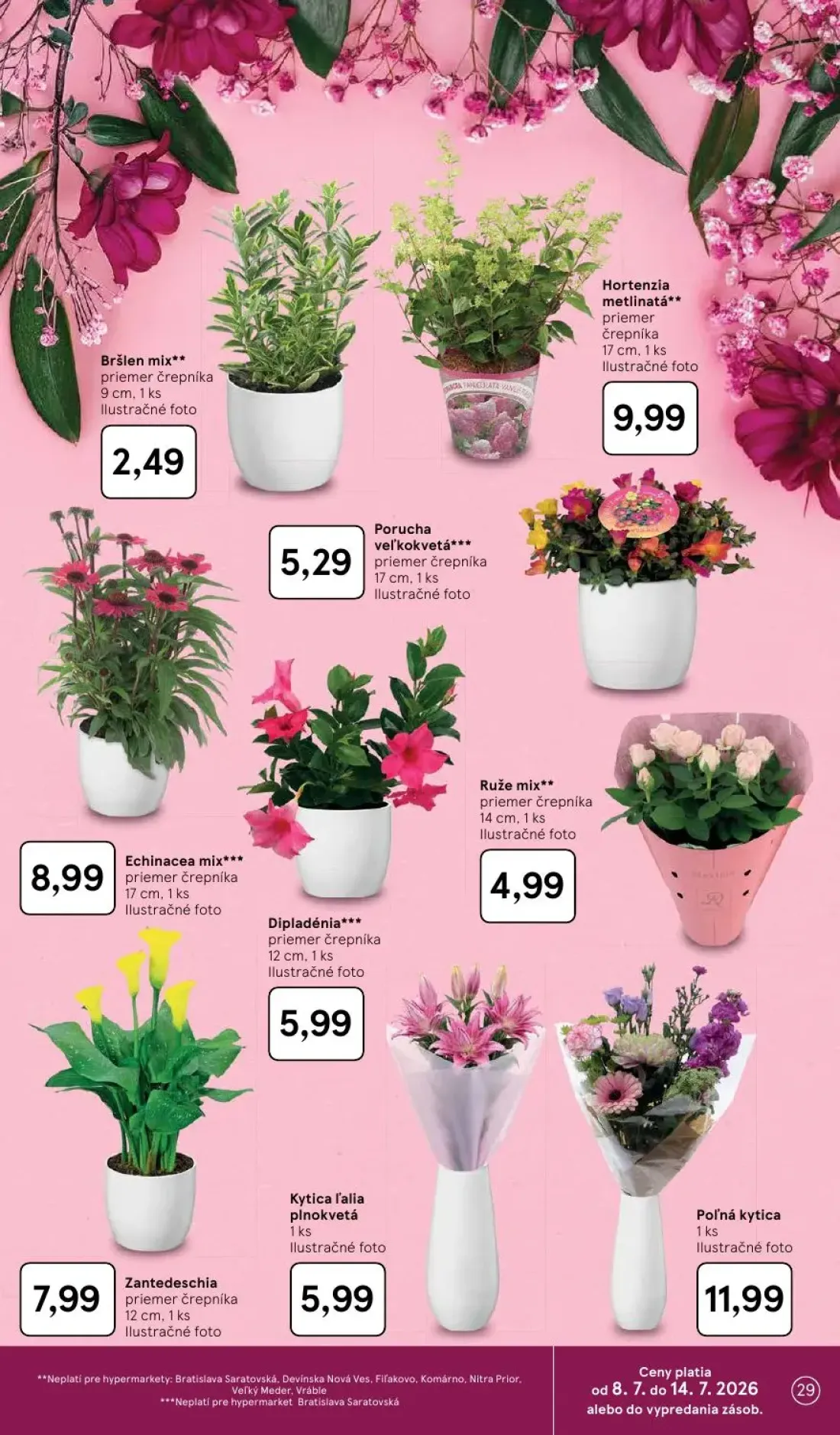 Tesco leták, strana 29 z 48 — Bršlen mix, Porucha veľkokvetá, Hortenzia metlinatá