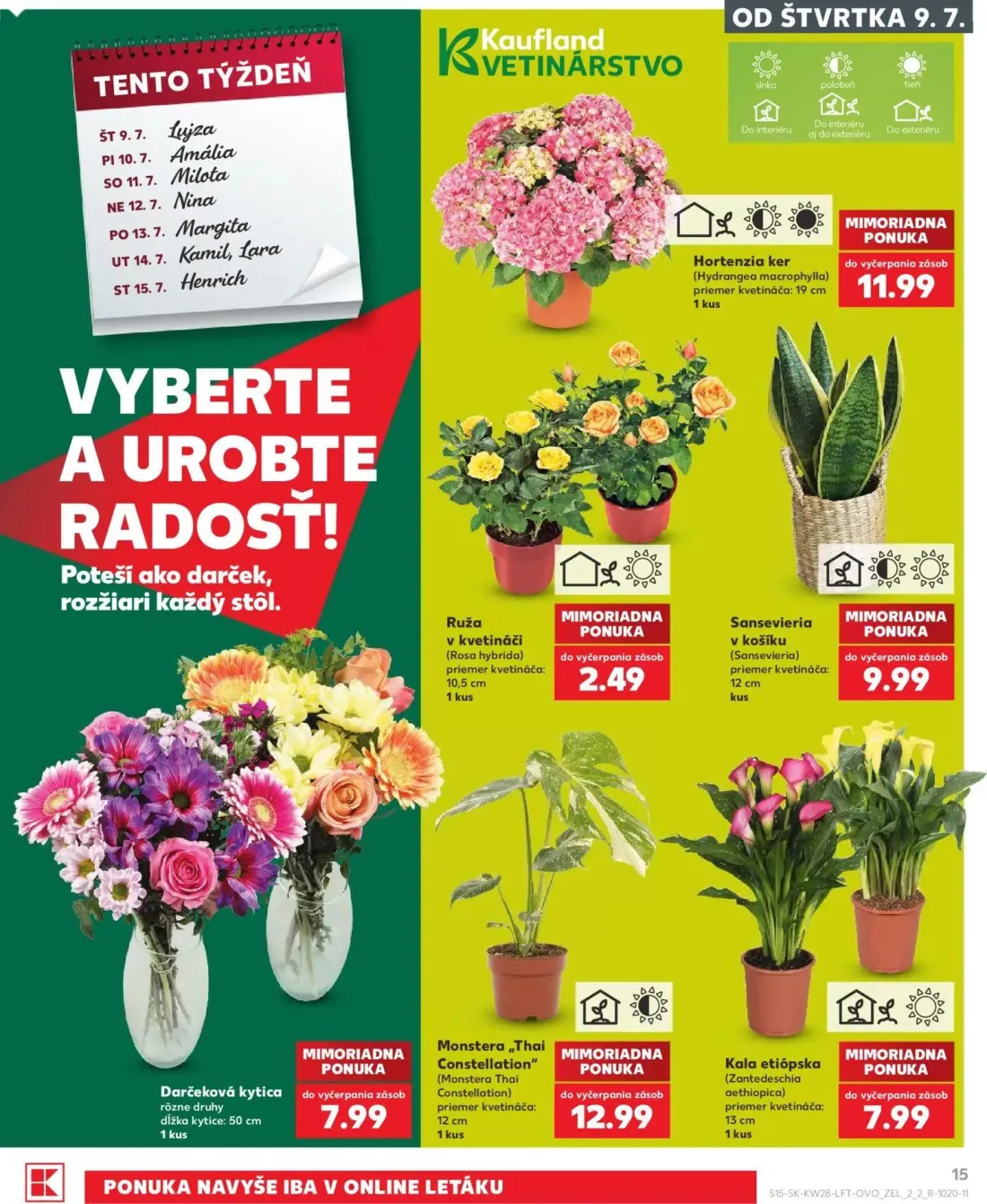 Kaufland leták, strana 15 z 82 — Hortenzia ker, Ruža, Sansevieria
