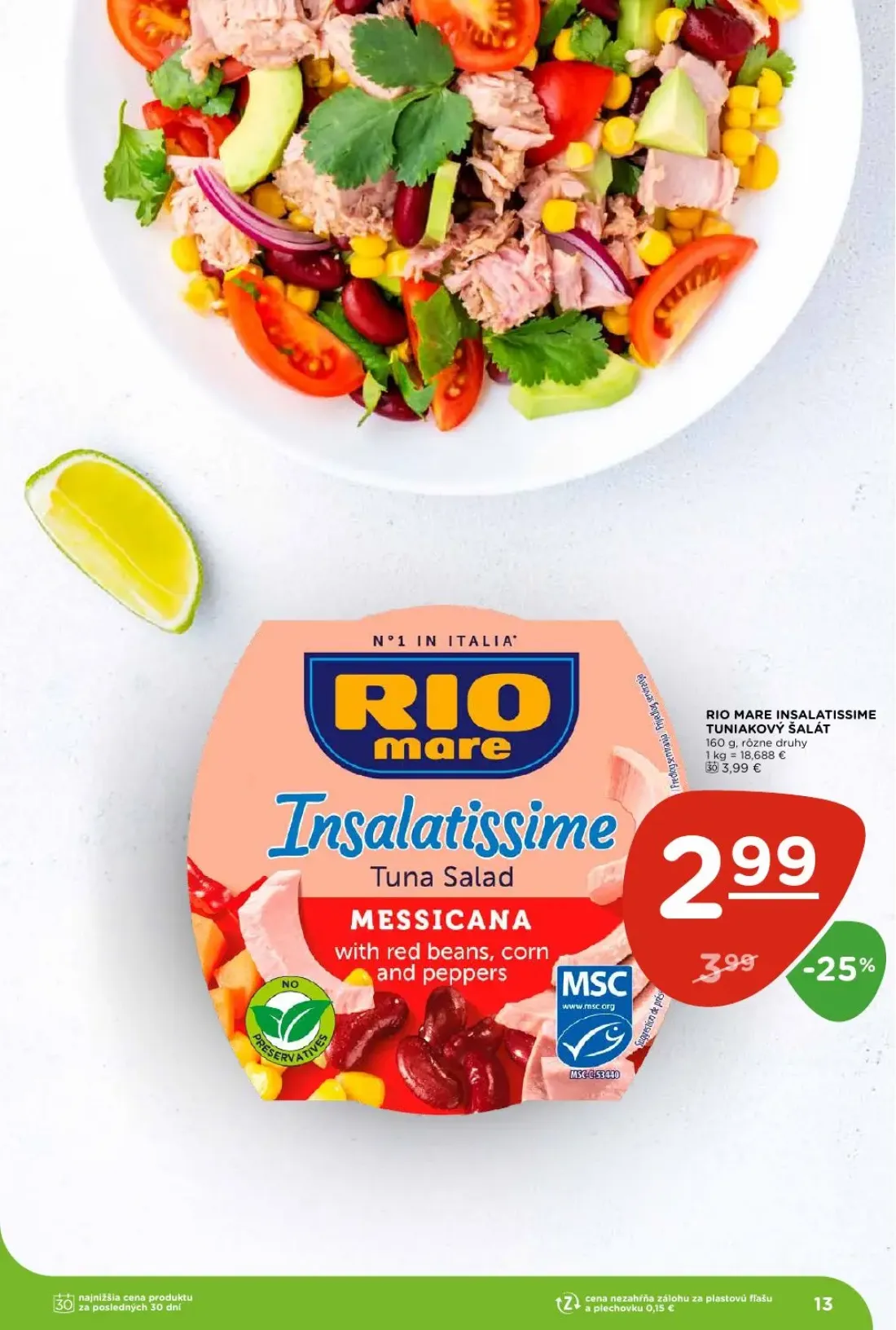 Terno leták, strana 13 z 29