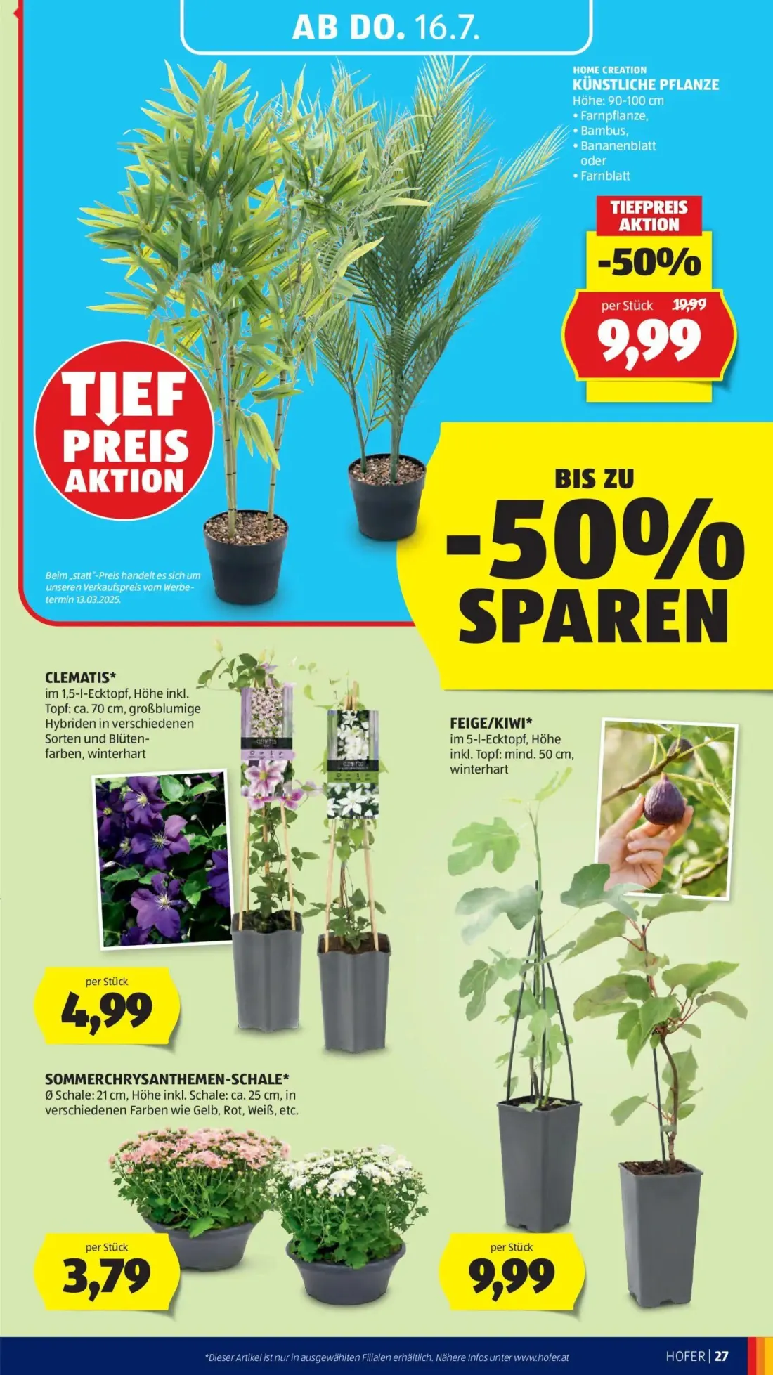 Hofer Prospekt, Seite 35 von 44