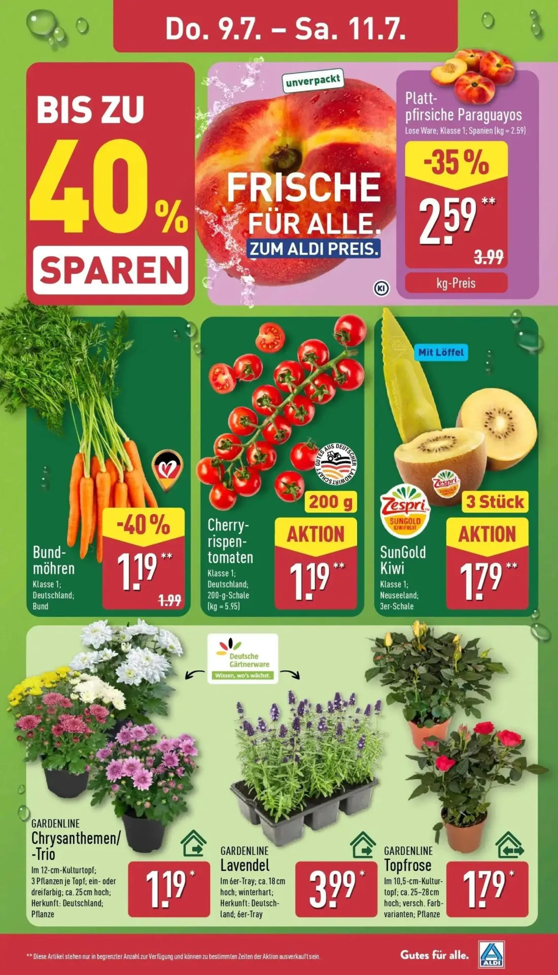 Aldi Nord Prospekt, Seite 29 von 41 — GARDENLINE Chrysanthemen/-Trio, GARDENLINE Lavendel, GARDENLINE Topfrose