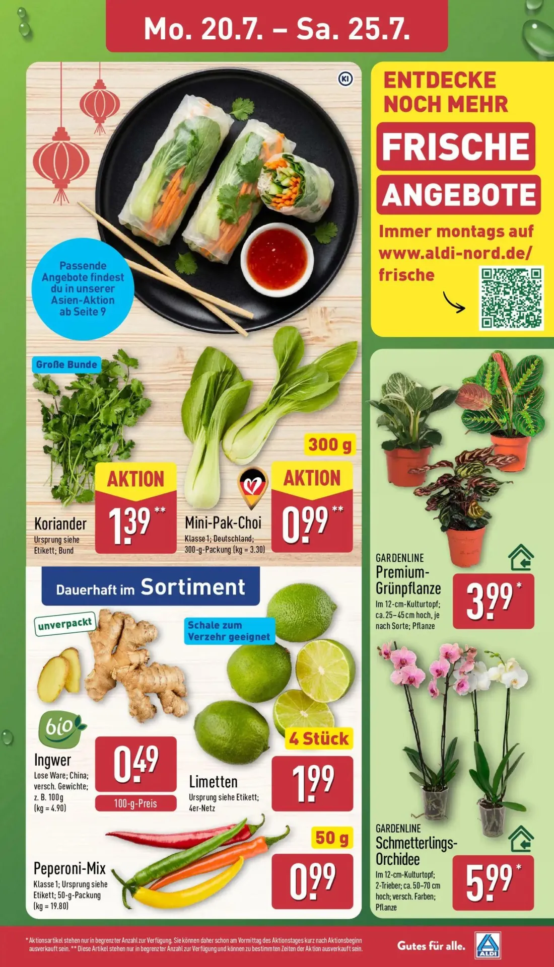 Aldi Nord Prospekt, Seite 3 von 40 — Koriander, Mini-Pak-Choi, Premium-Grünpflanze