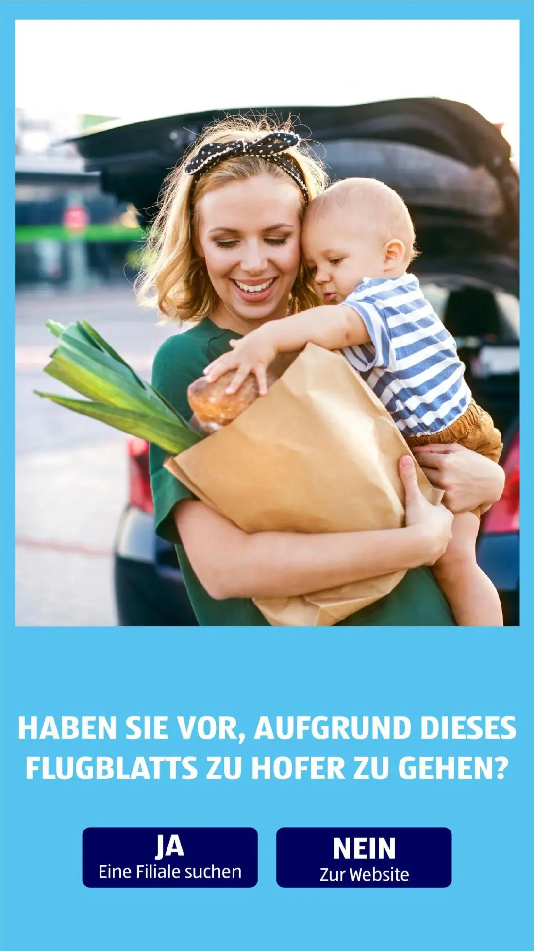 Hofer Prospekt, Seite 46 von 46