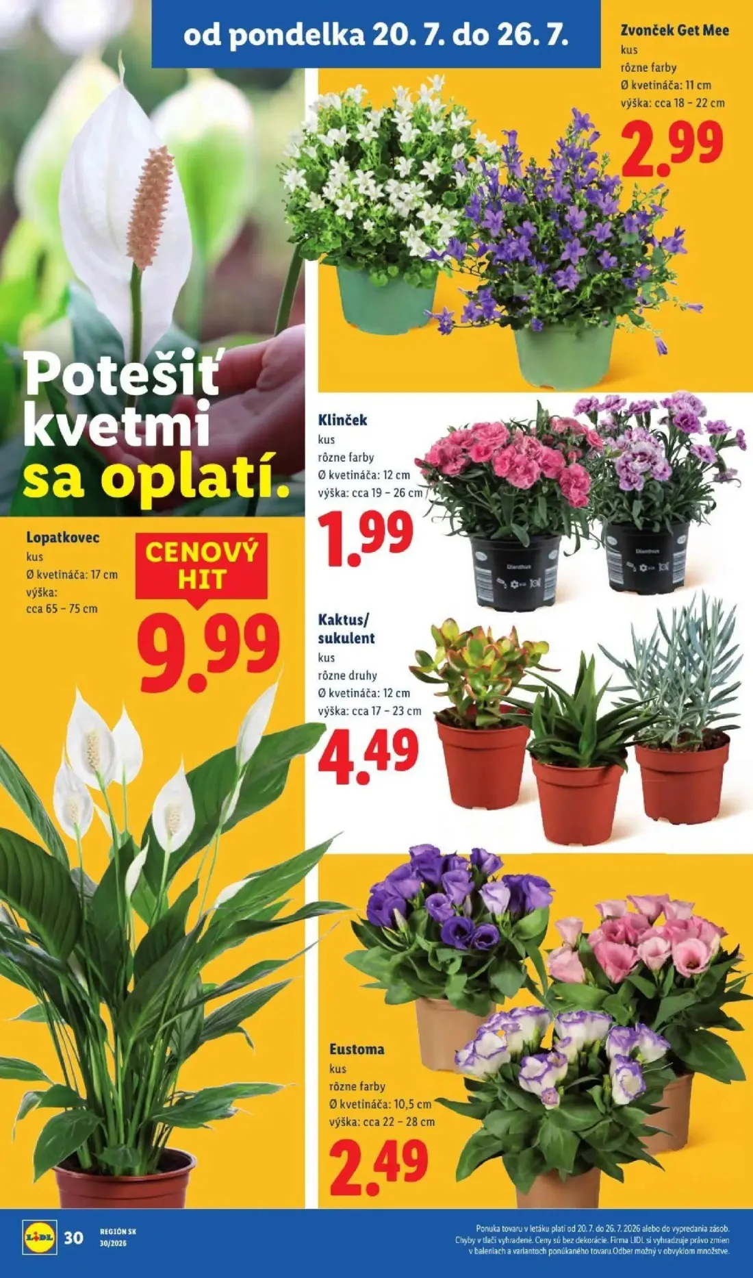 Lidl leták, strana 51 z 108 — Zvonček Get Mee, Lopatkovec, Klinček