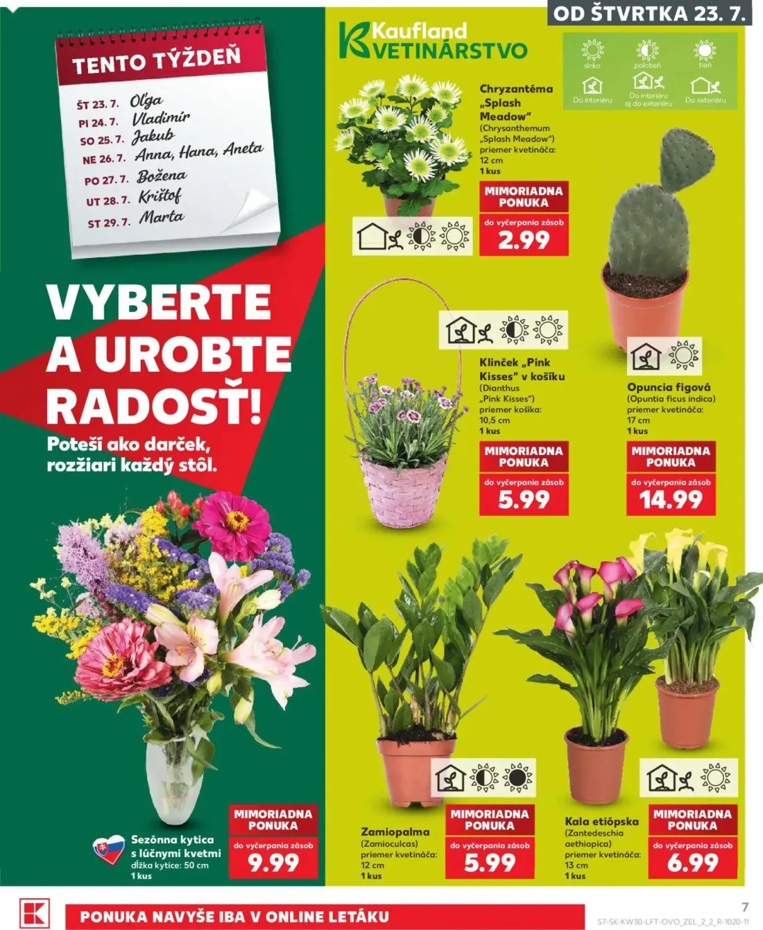 Kaufland leták, strana 7 z 74 — Chryzantéma „Splash Meadow", Klinček „Pink Kisses" v košíku, Opuncia figová