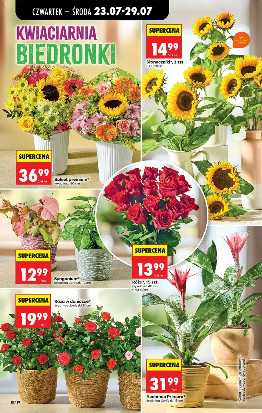 Biedronka gazetka, strona 34 z 98 — Słoneczniki*, Bukiet premium*, Syngonium*