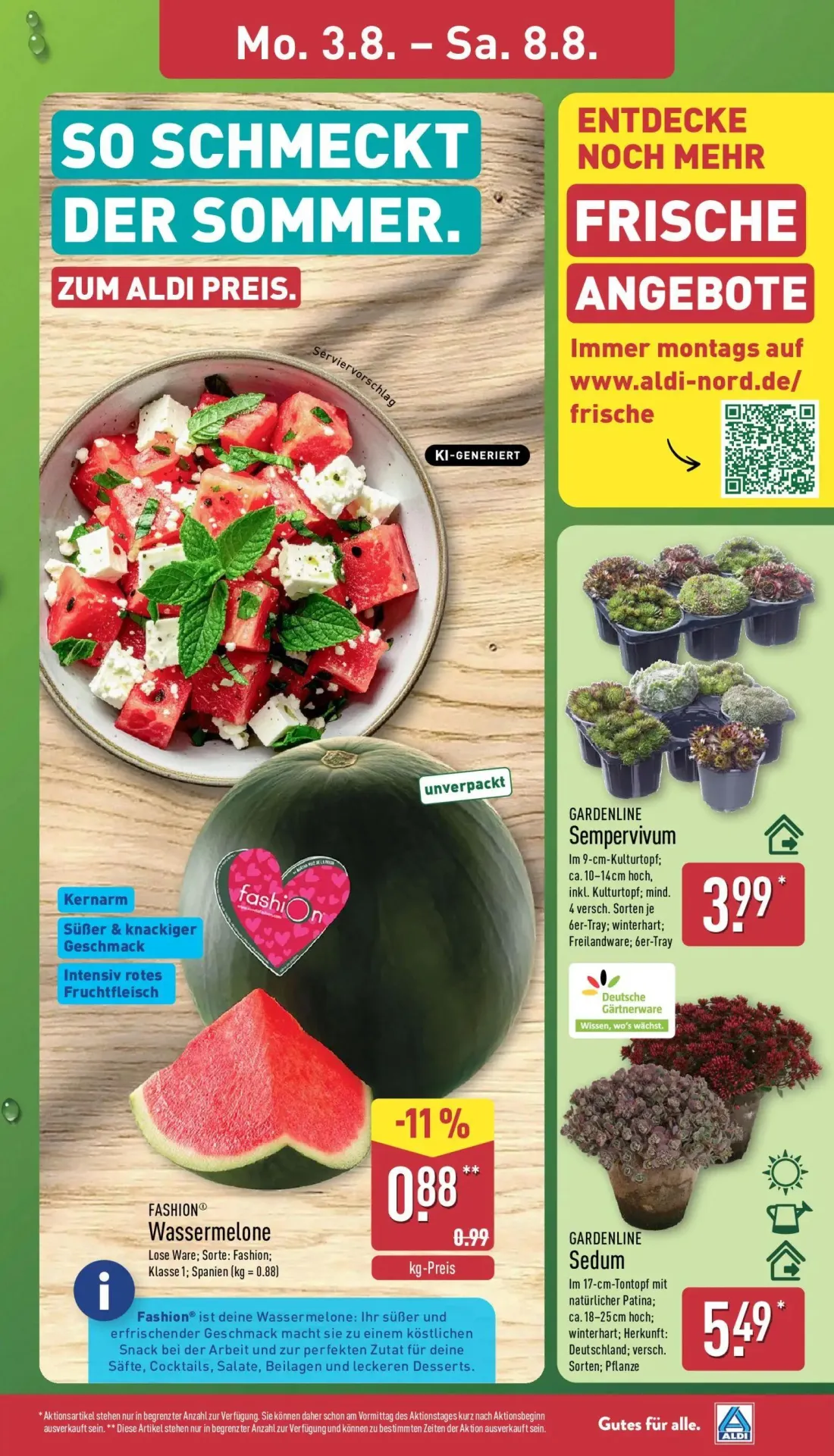 Aldi Nord Prospekt, Seite 3 von 40 — FASHION® Wassermelone, Sempervivum, Sedum