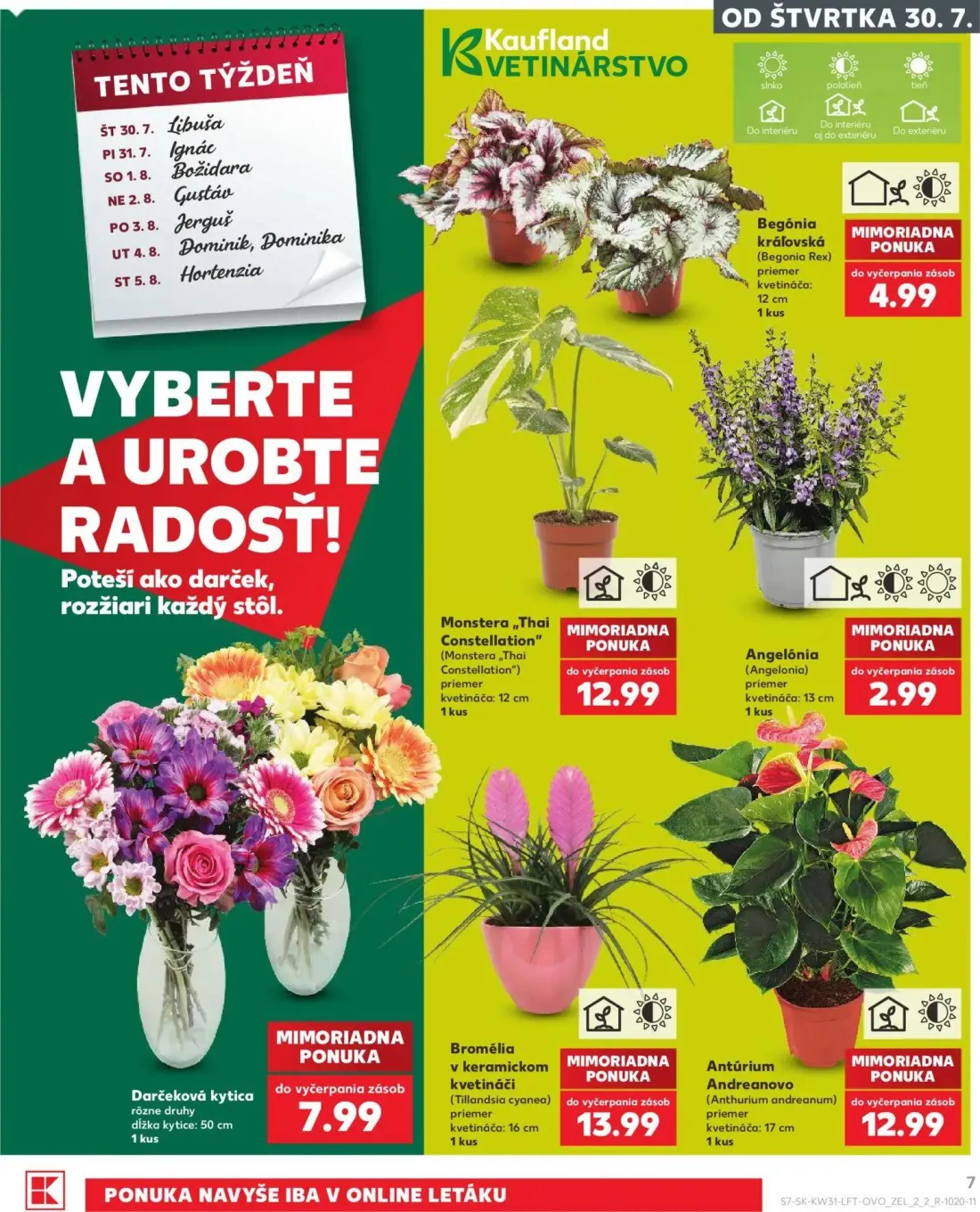 Kaufland leták, strana 7 z 74 — Begónia kráľovská (Begonia Rex), Angelónia (Angelonia), Monstera „Thai Constellation" (Monst…