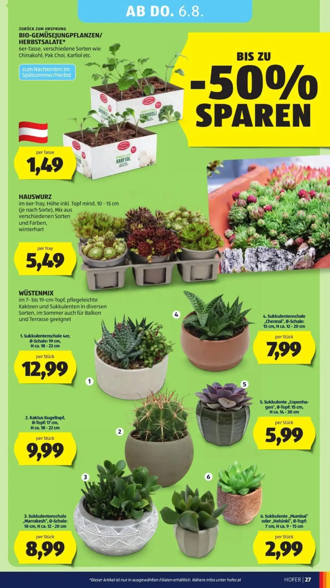 Hofer Prospekt, Seite 39 von 50 — BIO-GEMÜSEJUNGPFLANZEN/ HERBSTSALATE, HAUSWURZ, Sukkulentenschale 4er