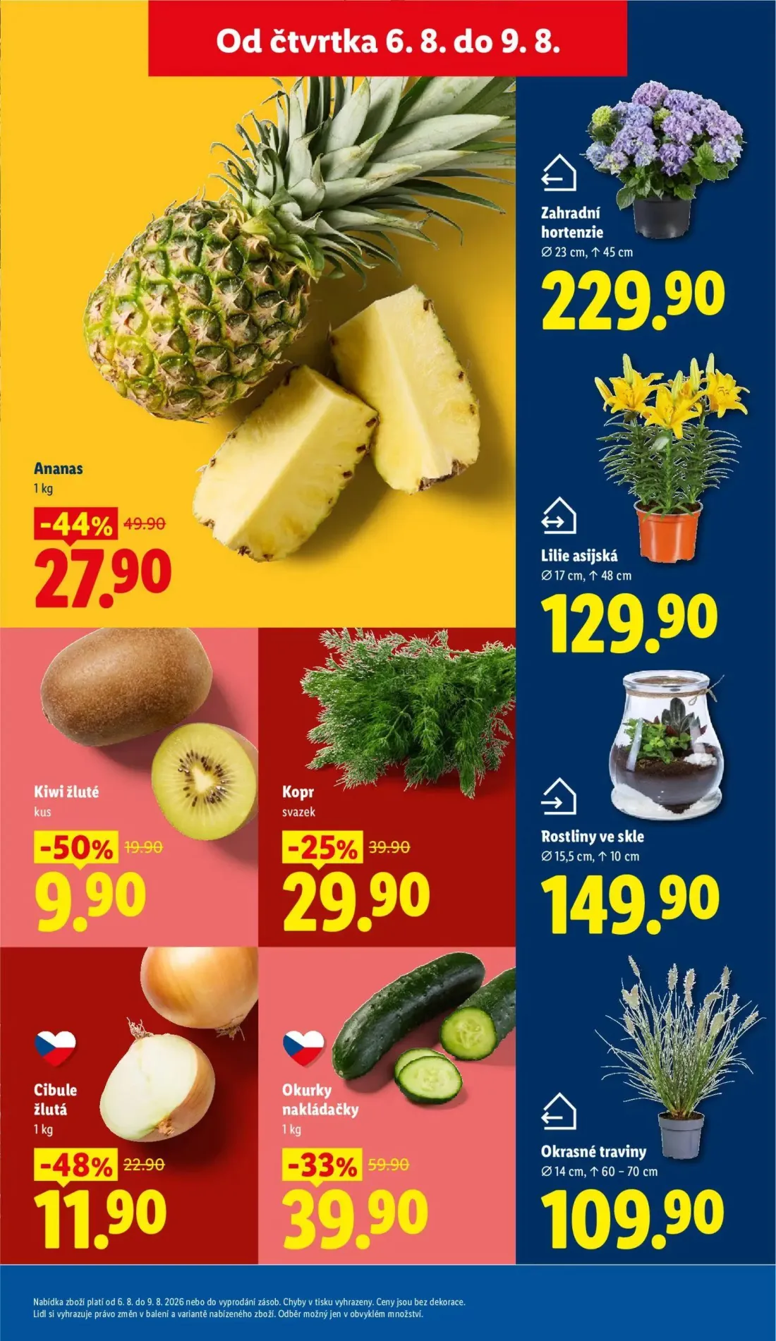 Lidl leták, strana 13 z 48 — Ananas, Okurky nakládačky, Cibule žlutá