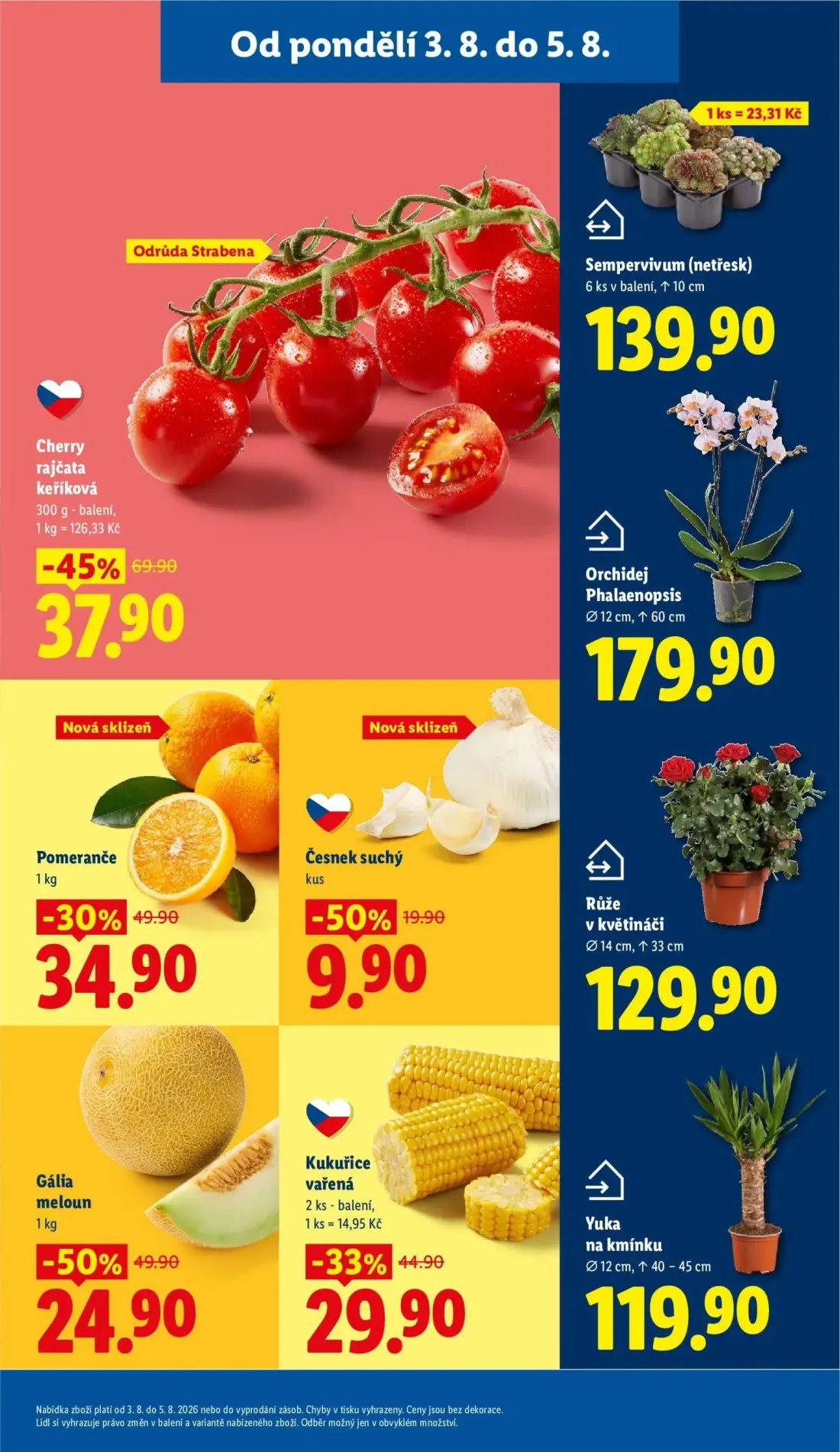 Lidl leták, strana 13 z 54 — Cherry rajčata keříková Odrůda Strabena, Gália meloun, Pomeranče