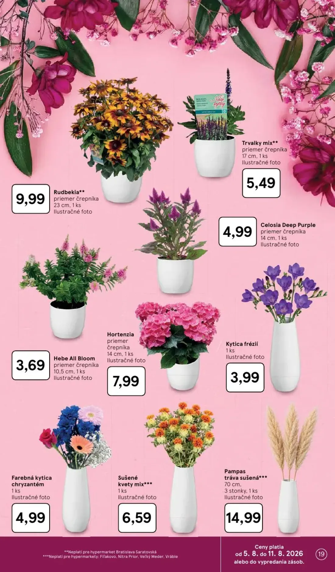 Tesco leták, strana 19 z 52