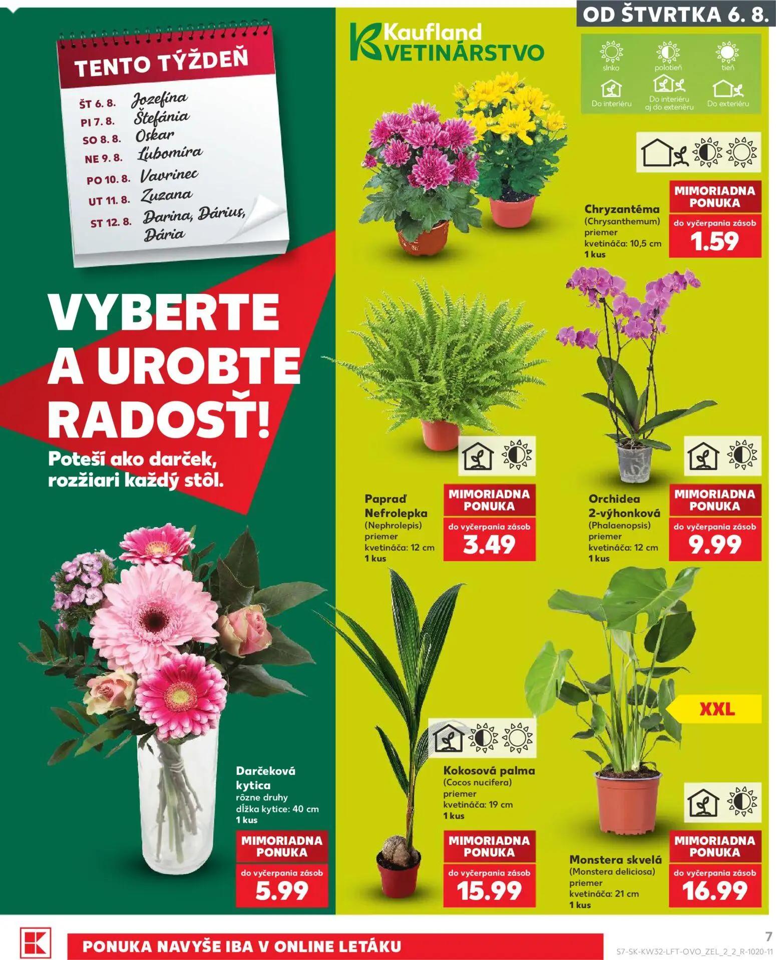 Kaufland leták, strana 7 z 78 — Chryzantéma (Chrysanthemum), Paprad Nefrolepka (Nephrolepis), Orchidea 2-výhonková (Phalaeno…