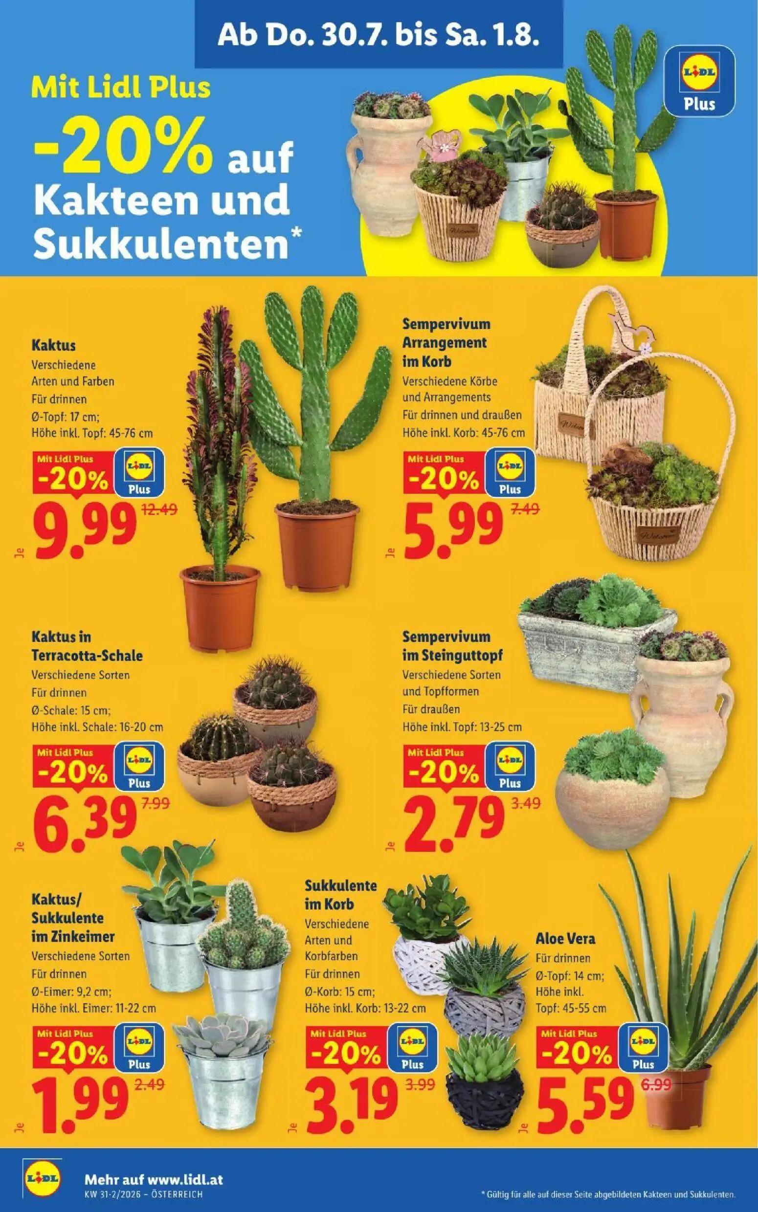 Lidl Prospekt, Seite 26 von 52