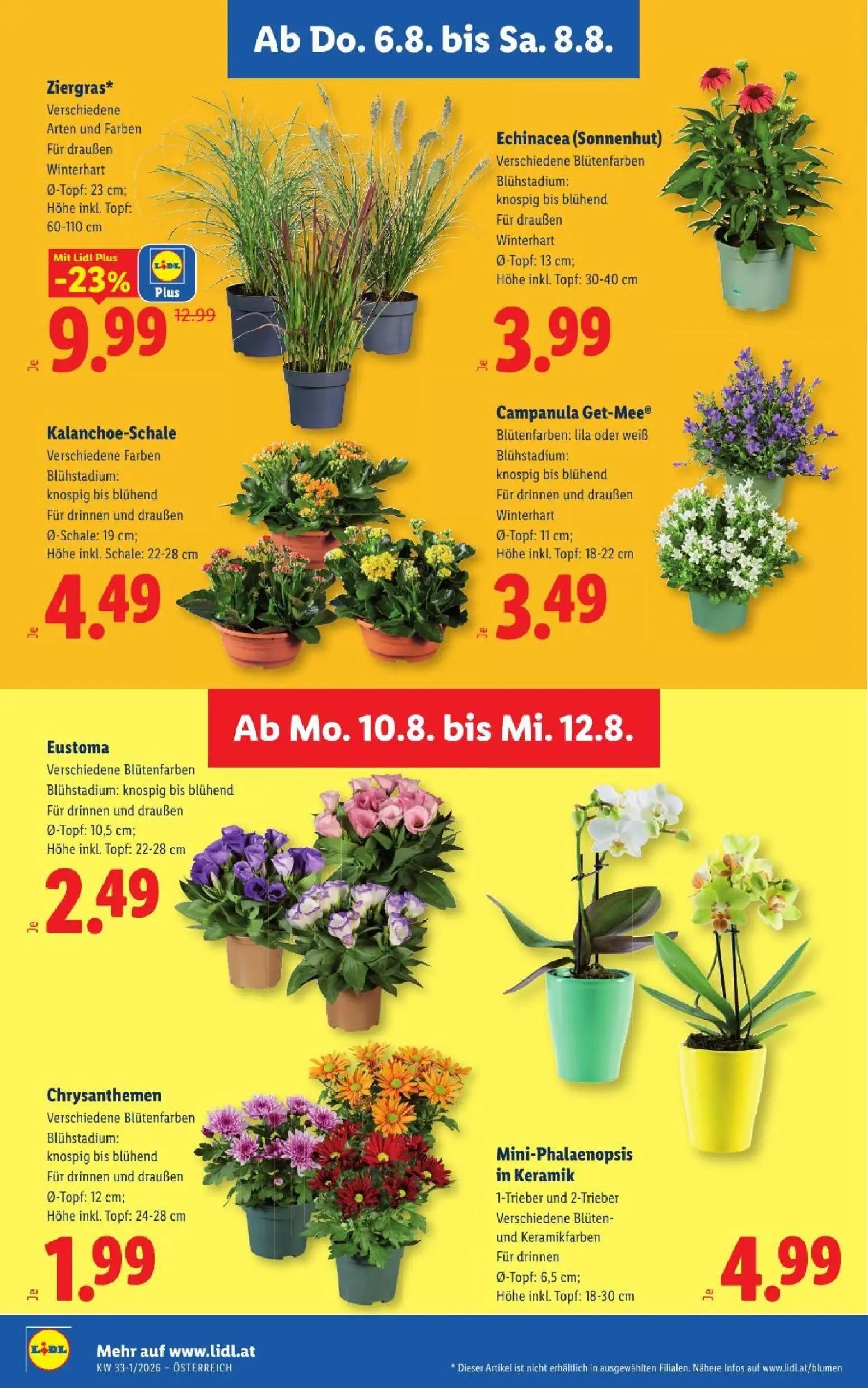 Lidl Prospekt, Seite 30 von 52
