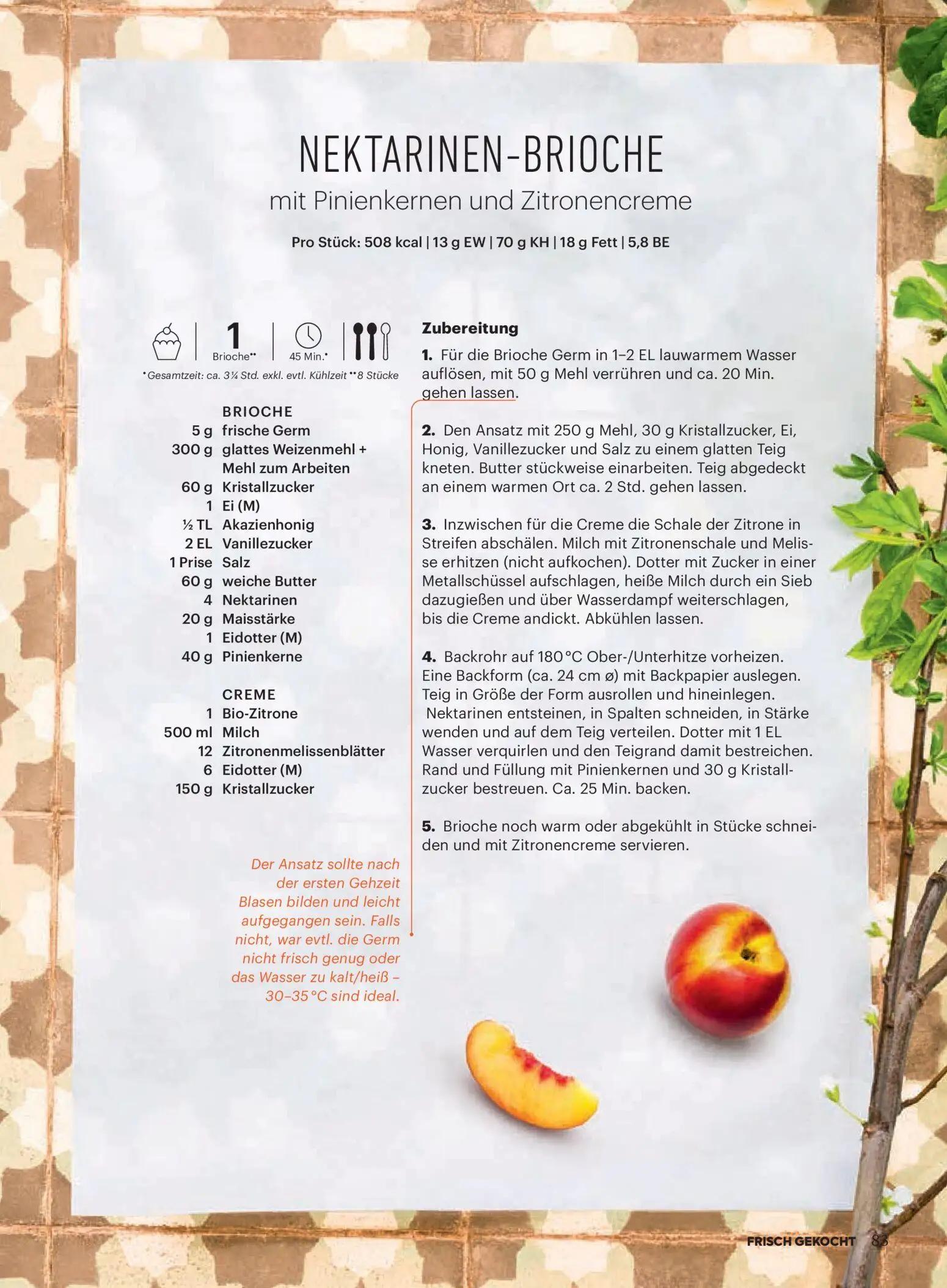 Billa Prospekt, Seite 81 von 170