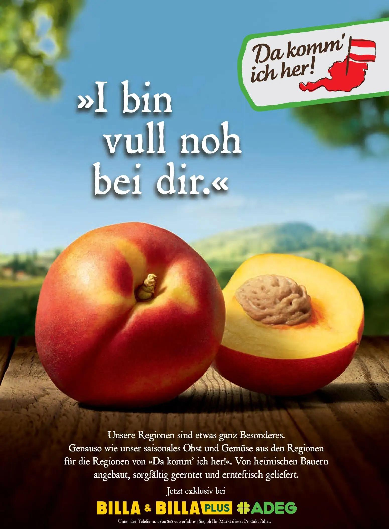 Billa Prospekt, Seite 168 von 170