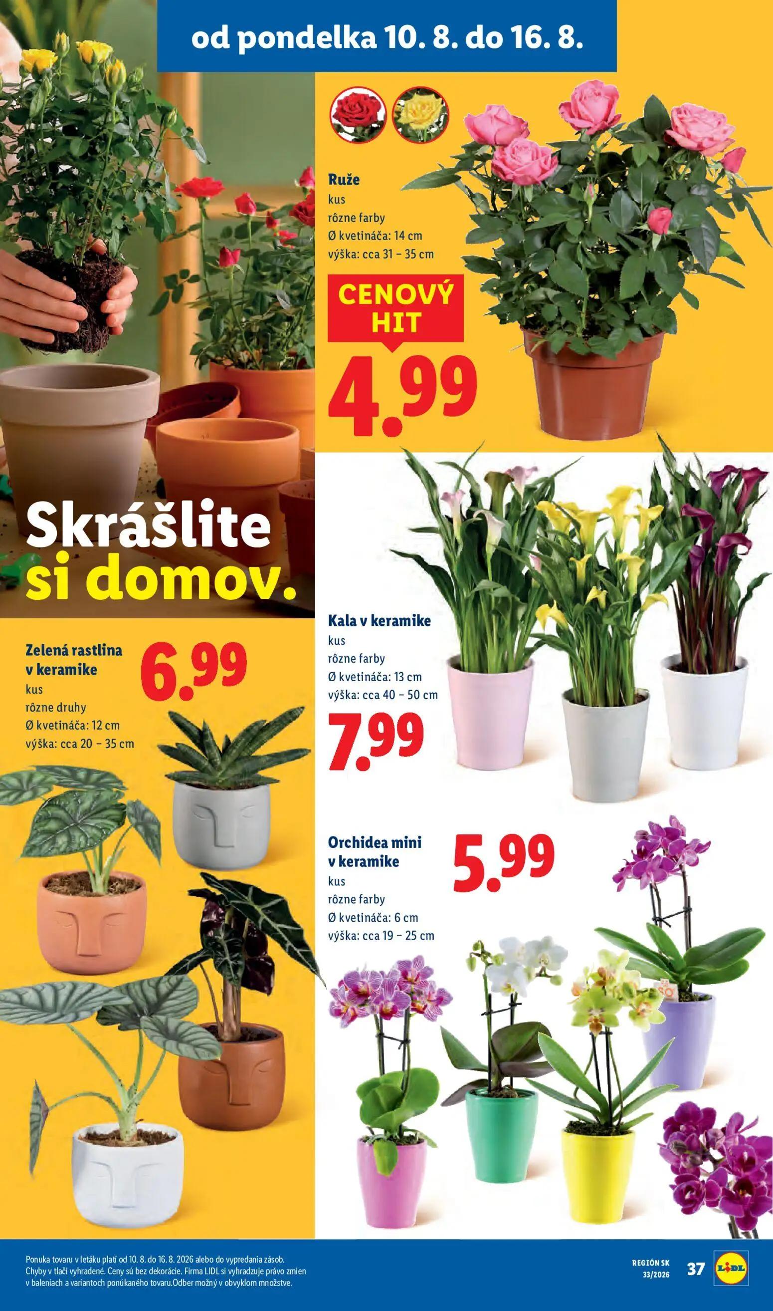 Lidl leták, strana 61 z 97