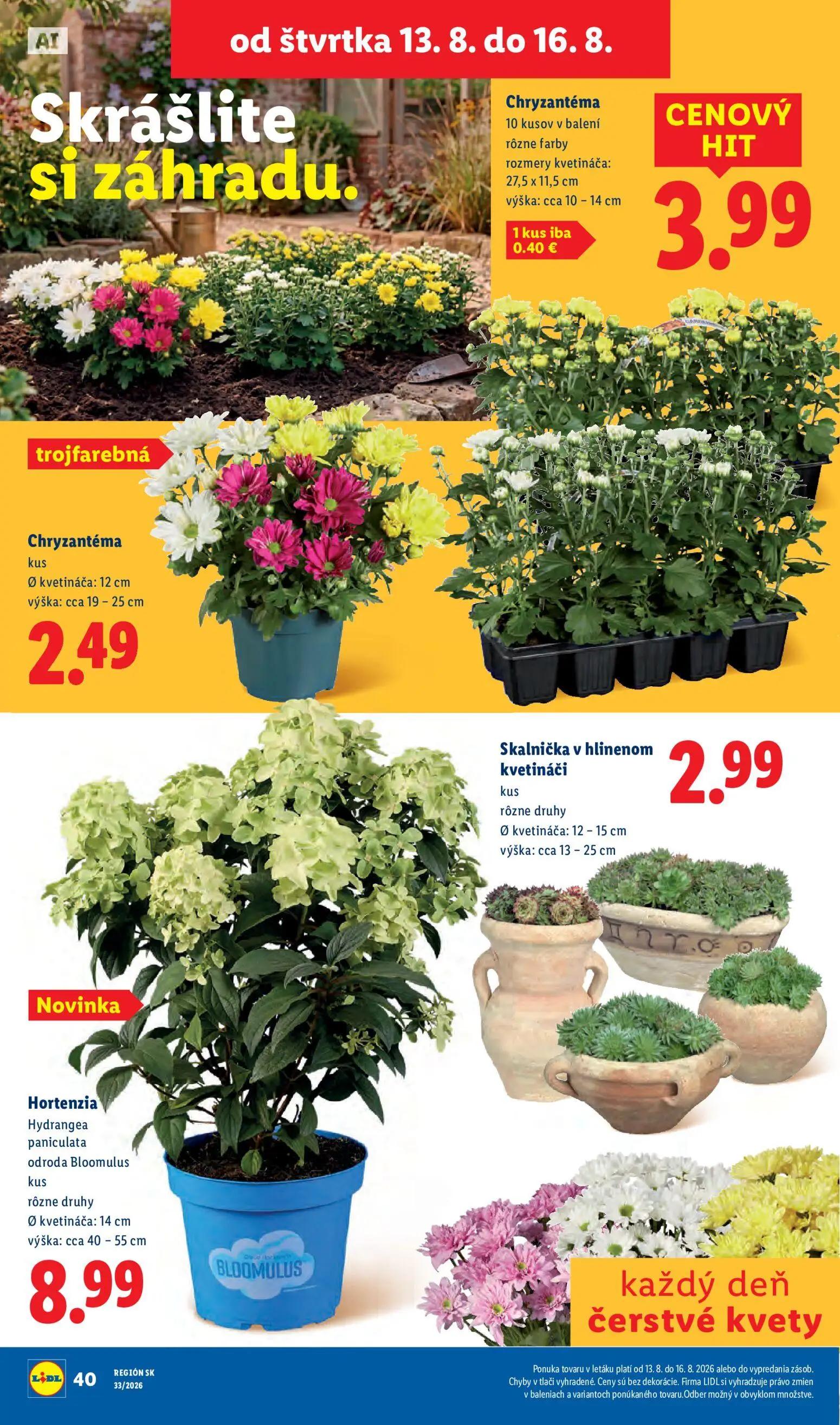 Lidl leták, strana 82 z 97