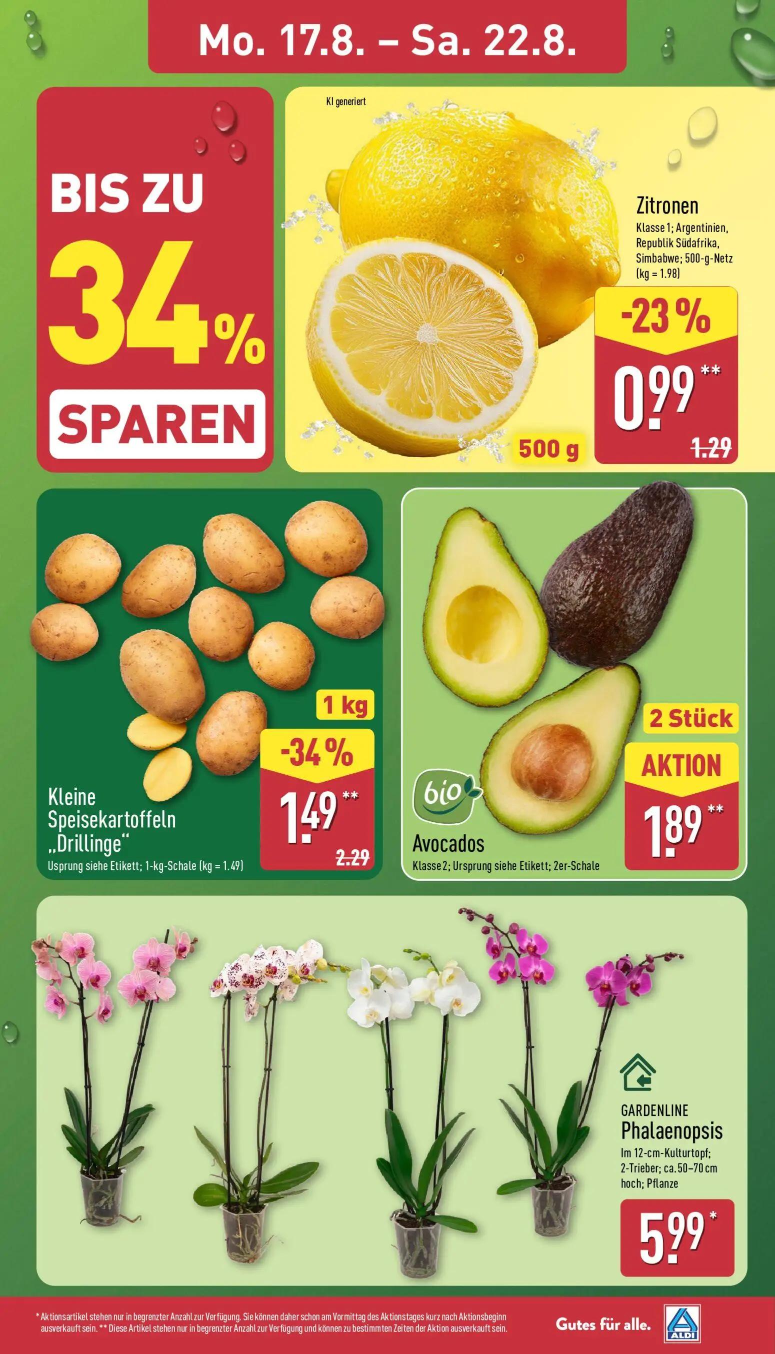 Aldi Nord Prospekt, Seite 3 von 39