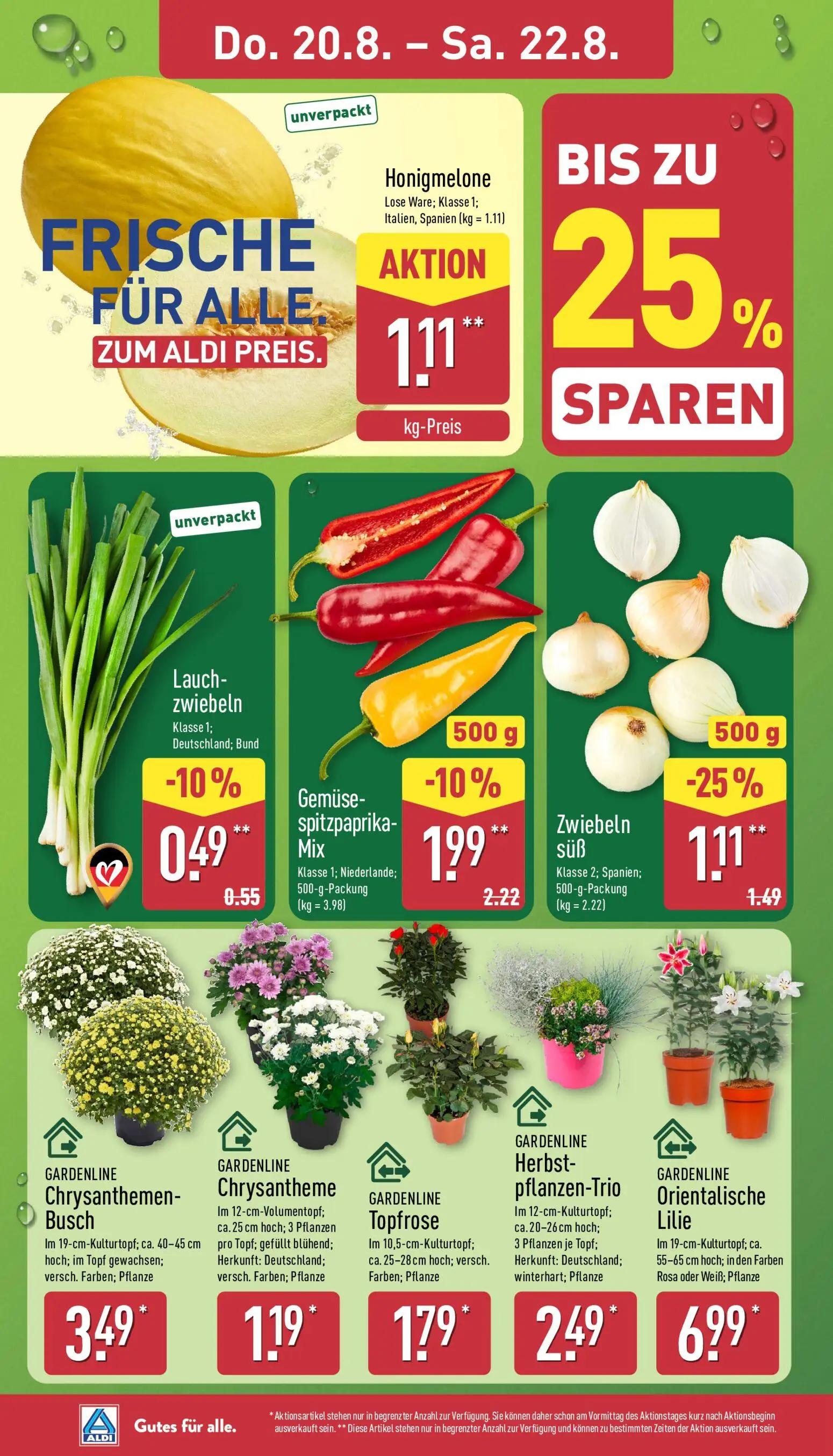 Aldi Nord Prospekt, Seite 26 von 39
