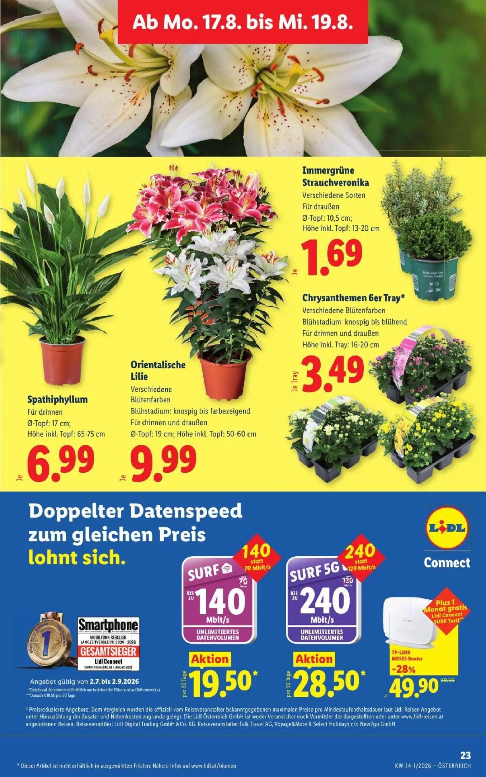 Lidl Prospekt, Seite 30 von 51 — Spathiphyllum, Orientalische Lilie, Immergrüne Strauchveronika