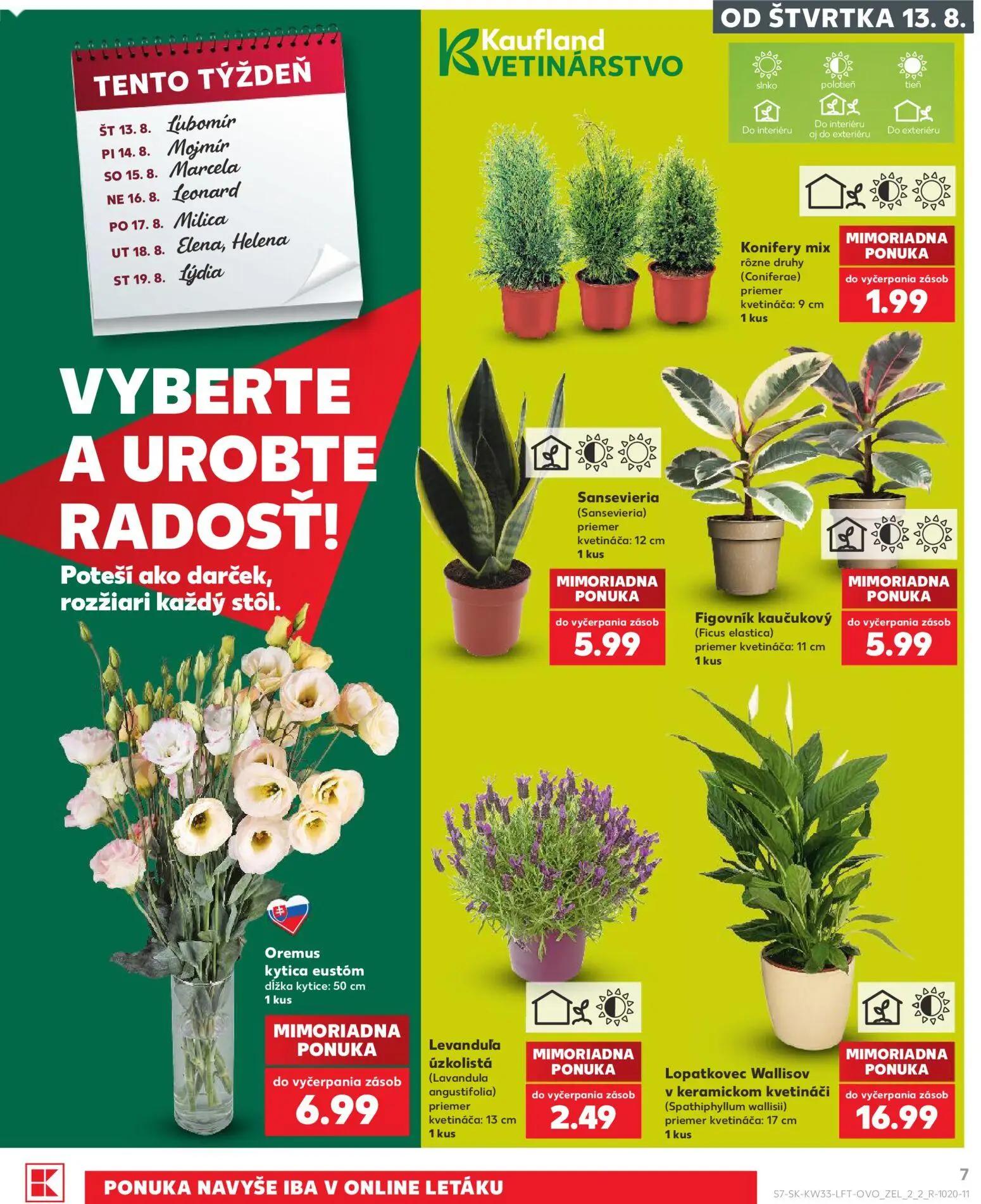 Kaufland leták, strana 7 z 80 — Konifery mix, Sansevieria, Figovník kaučukový