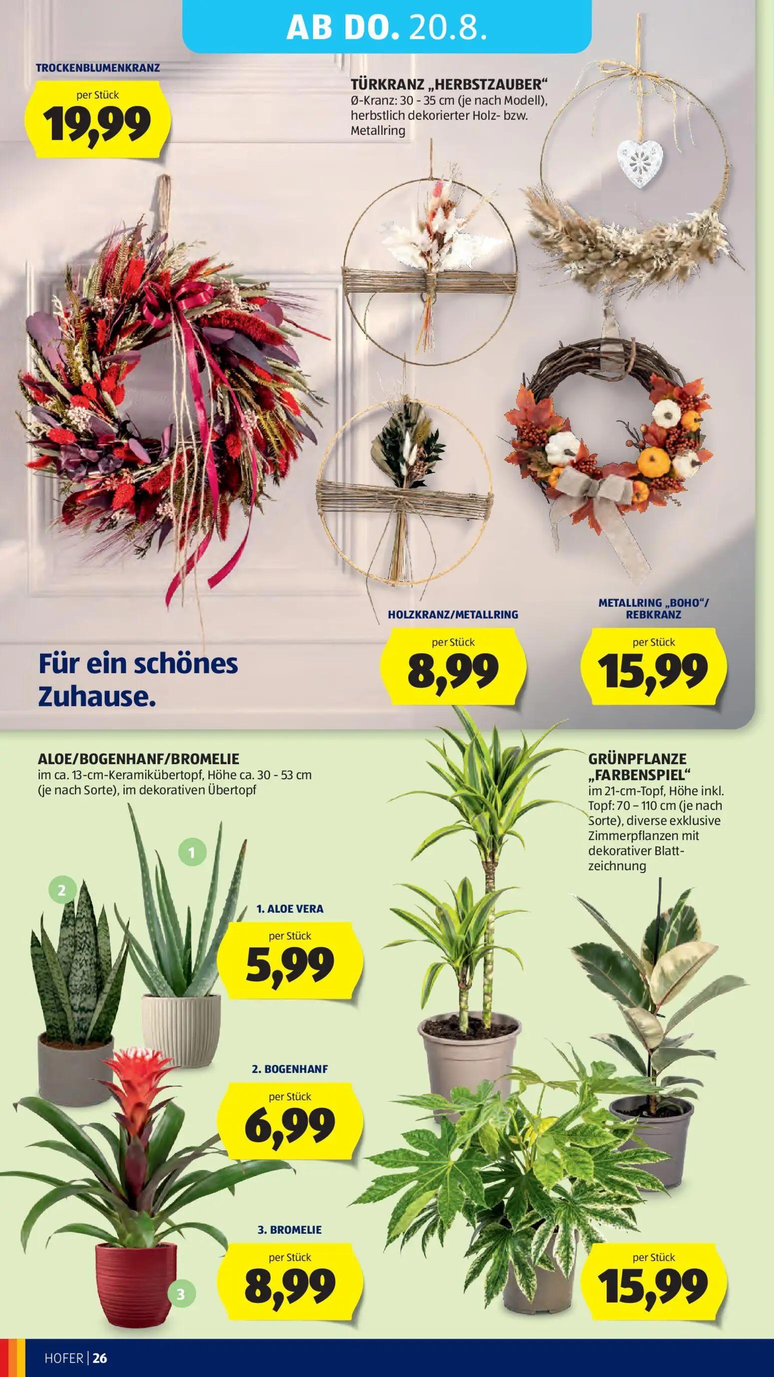 Hofer Prospekt, Seite 40 von 48