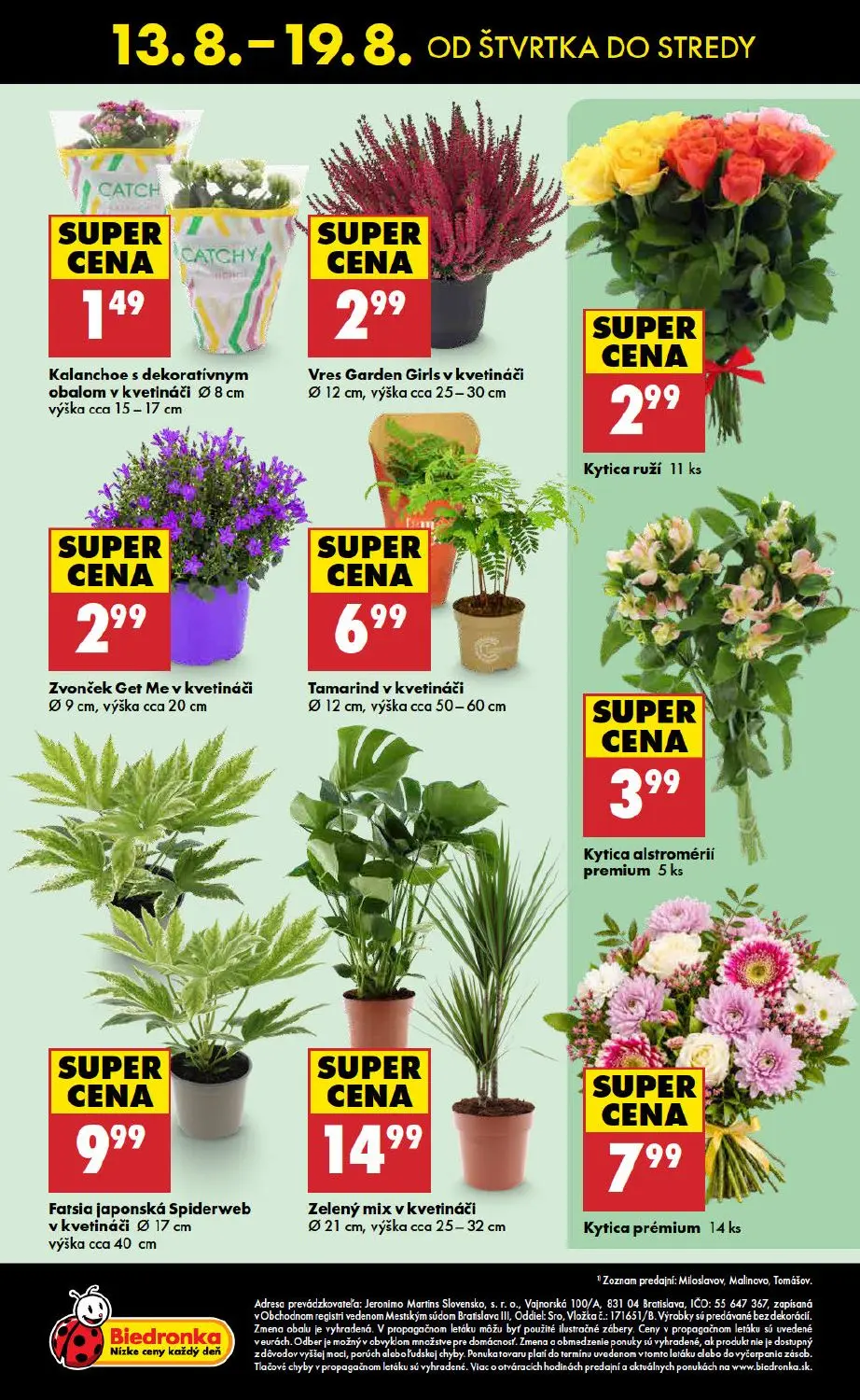 Biedronka leták, strana 48 z 48