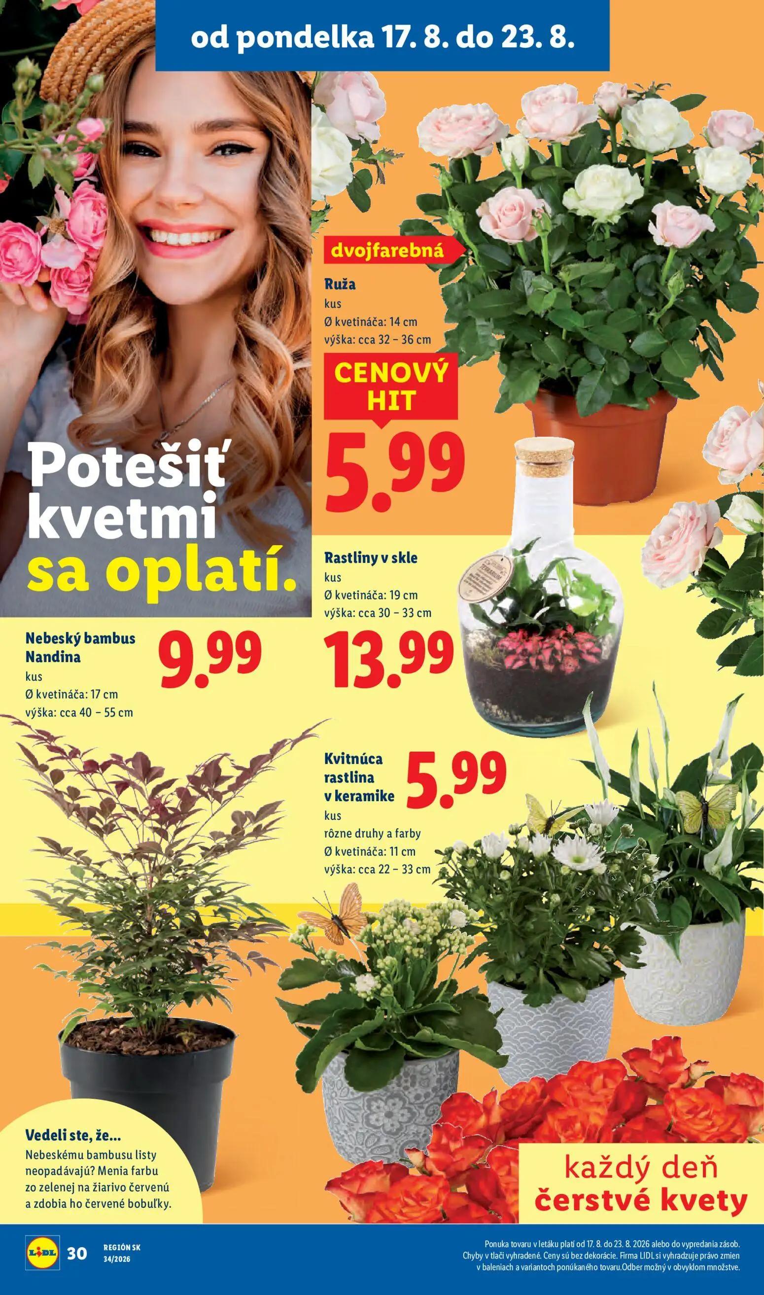 Lidl leták, strana 42 z 95