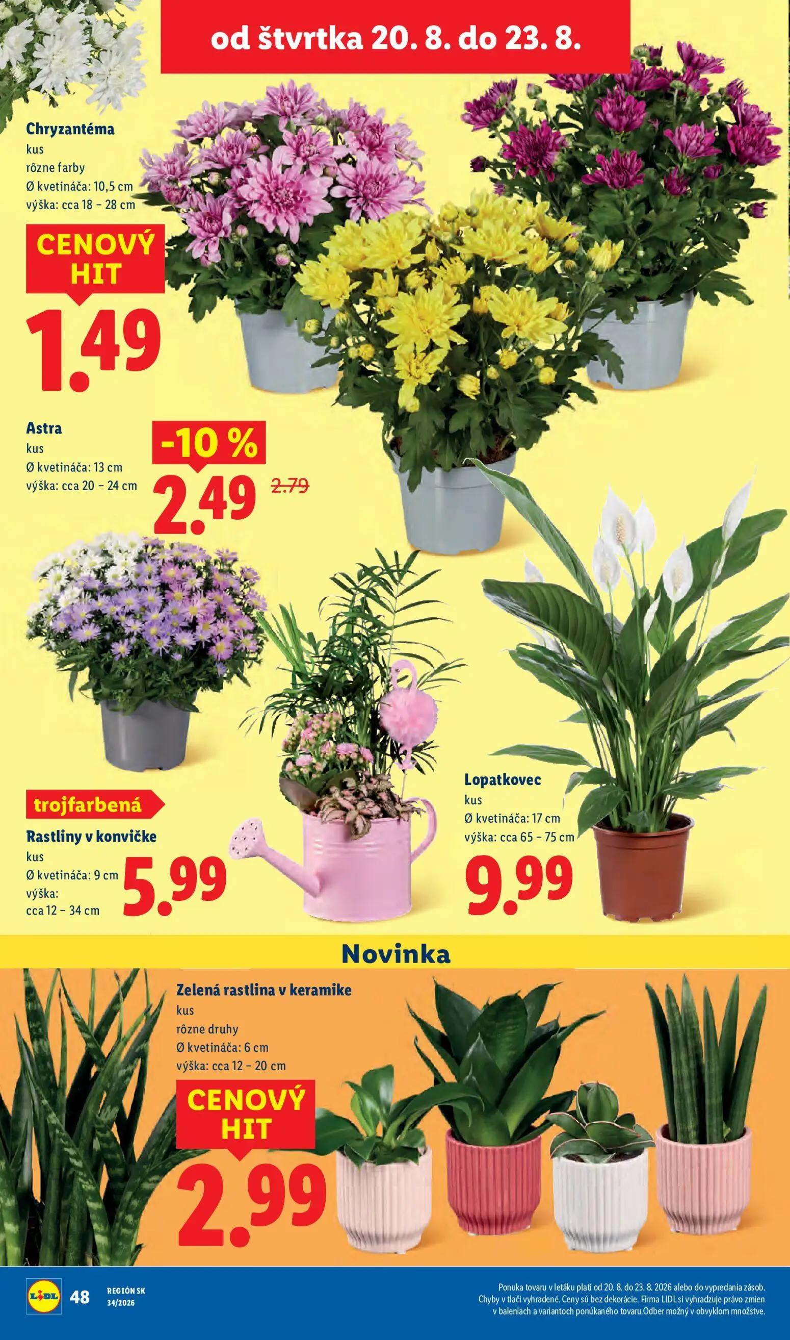 Lidl leták, strana 80 z 95