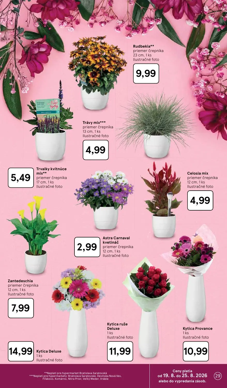Tesco leták, strana 29 z 50