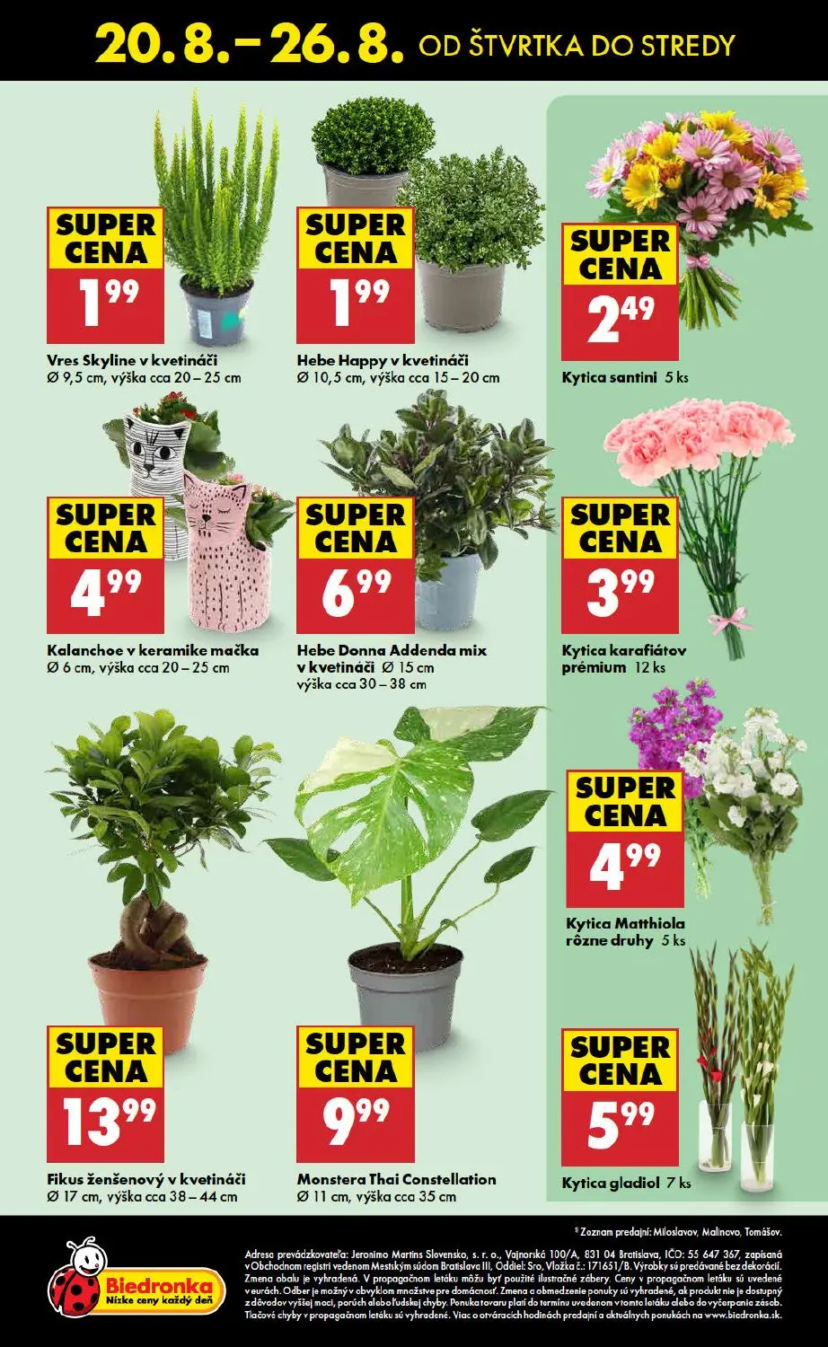 Biedronka leták, strana 48 z 48