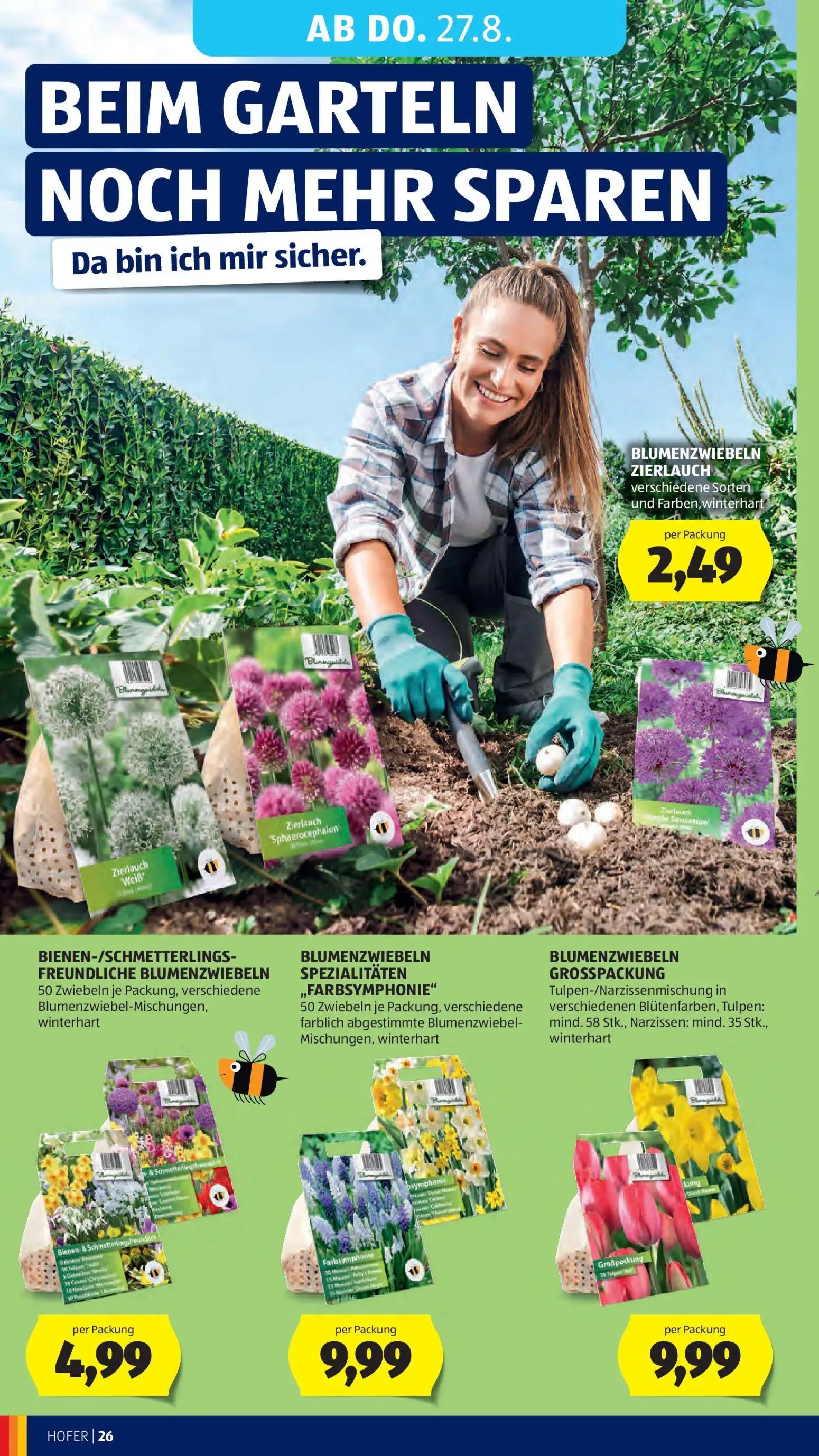 Hofer Prospekt, Seite 38 von 46 — BLUMENZWIEBELN ZIERLAUCH, BIENEN-/SCHMETTERLINGS-FREUNDLICHE BLUMENZWIEBELN, BLUMENZWIEBEL…
